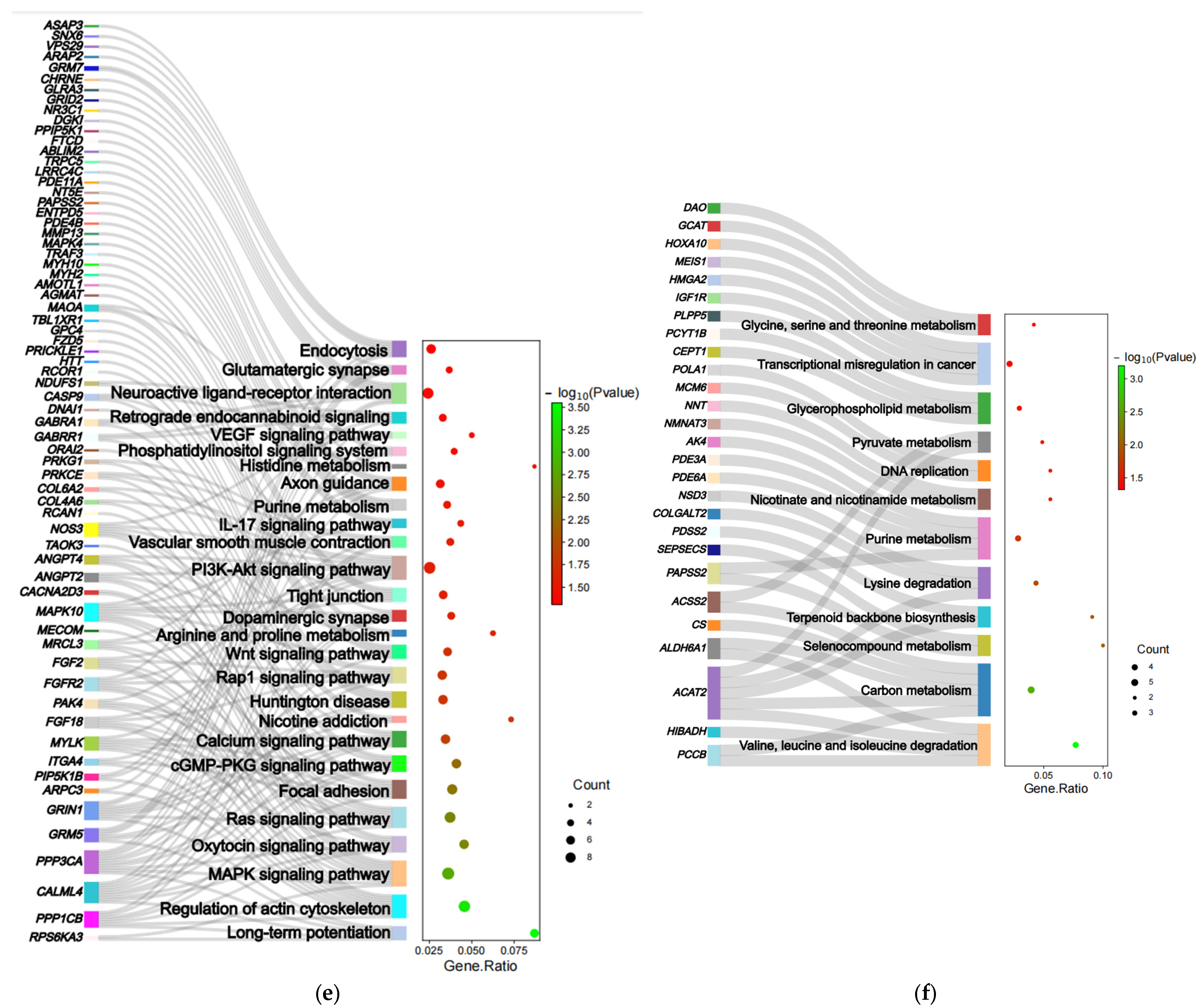 Animals 13 03265 g003c Animals 13 03265 g003c
