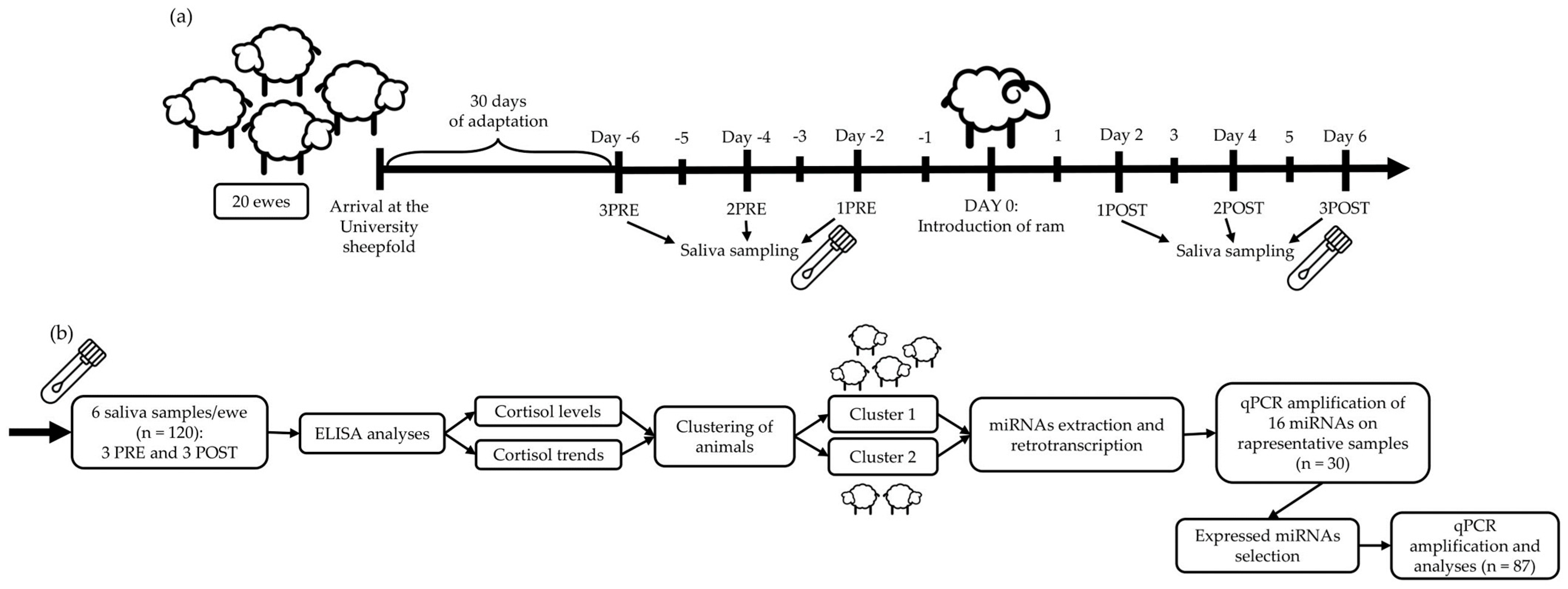Animals 13 03273 g001 Animals 13 03273 g001