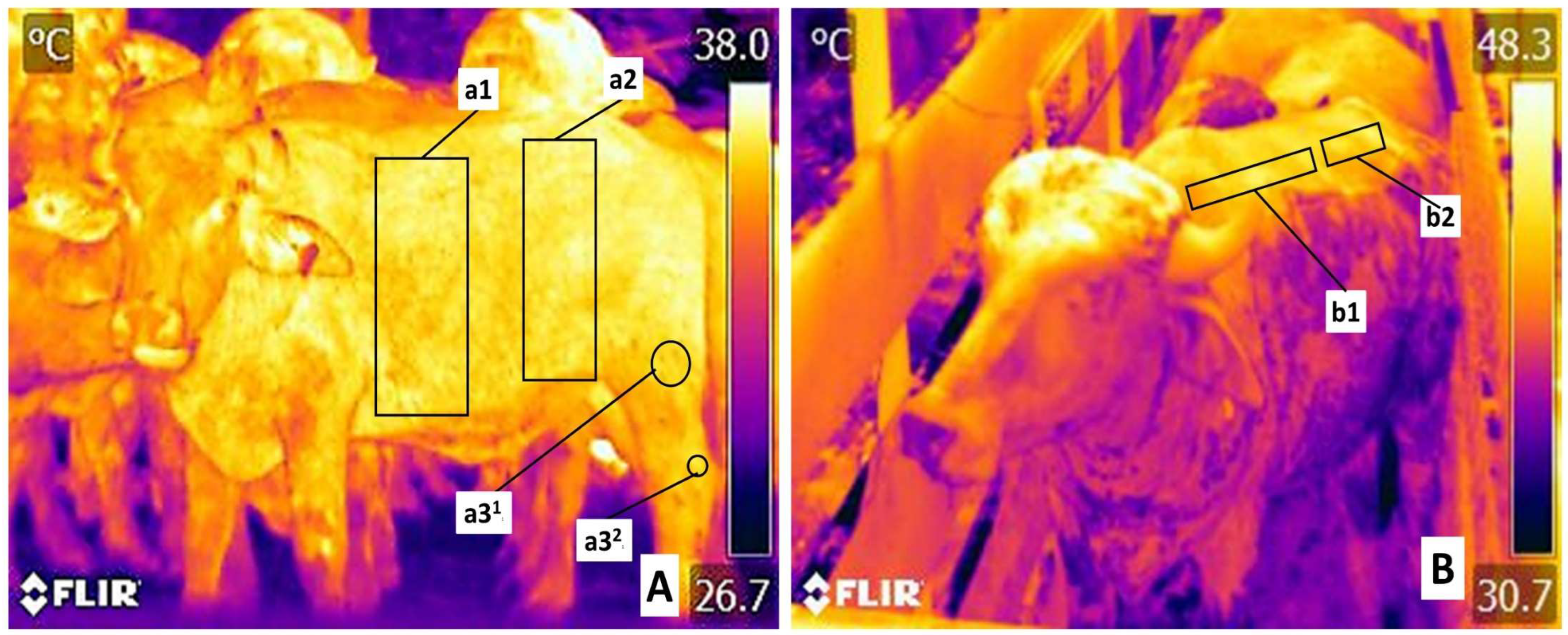 Animals 13 03274 g002