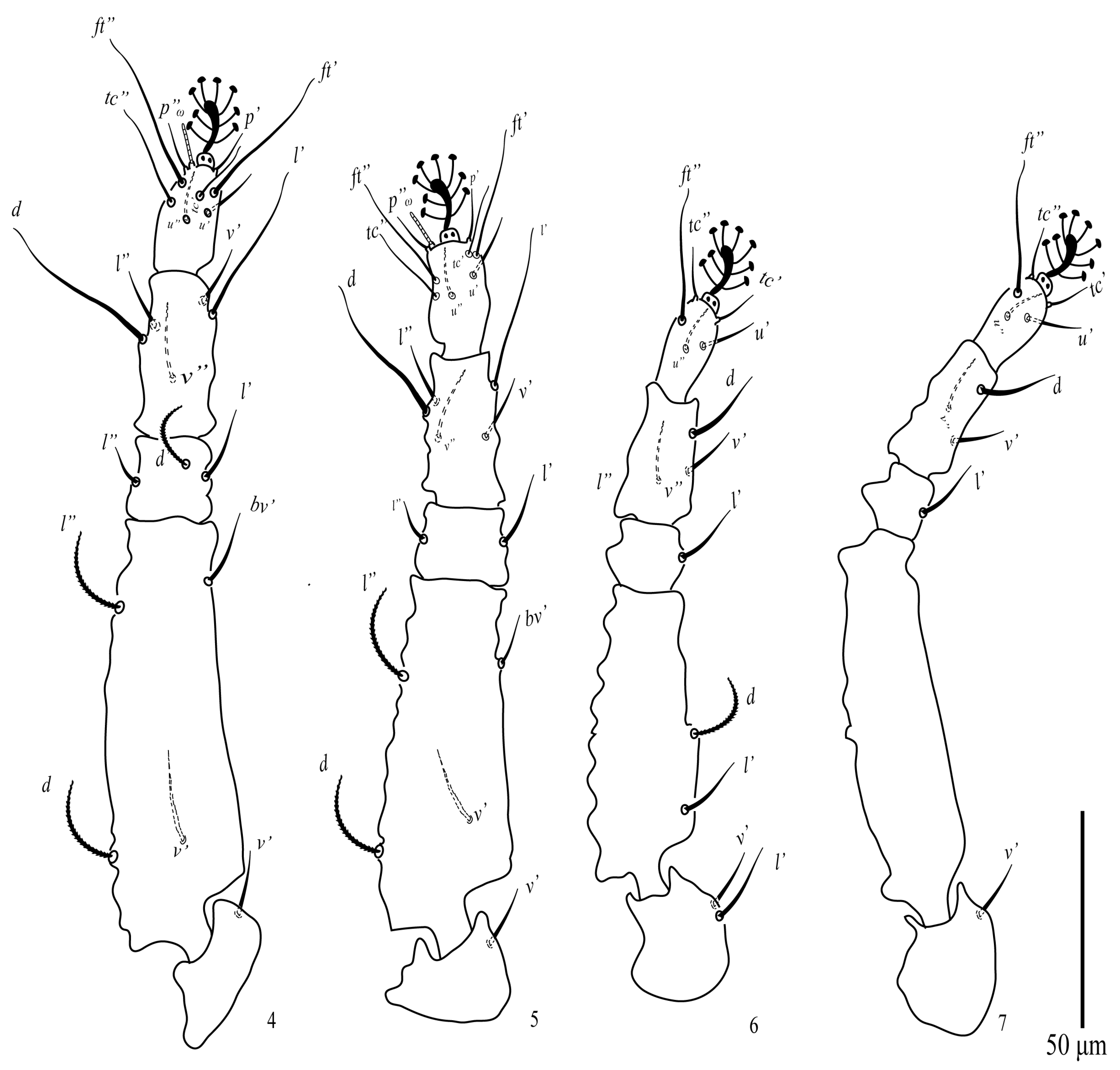 Animals 13 03278 g004