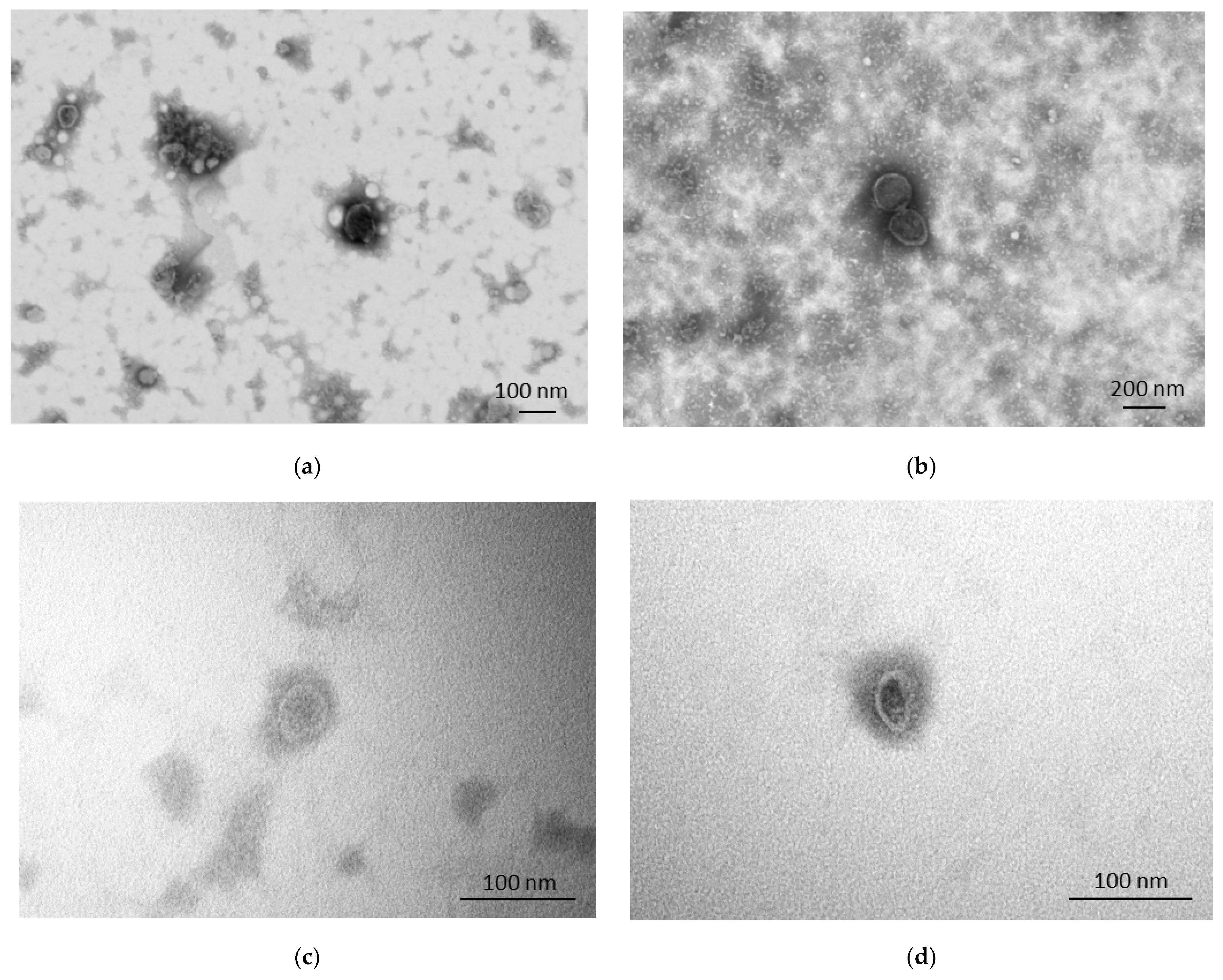 Animals 13 03304 g003 Animals 13 03304 g003