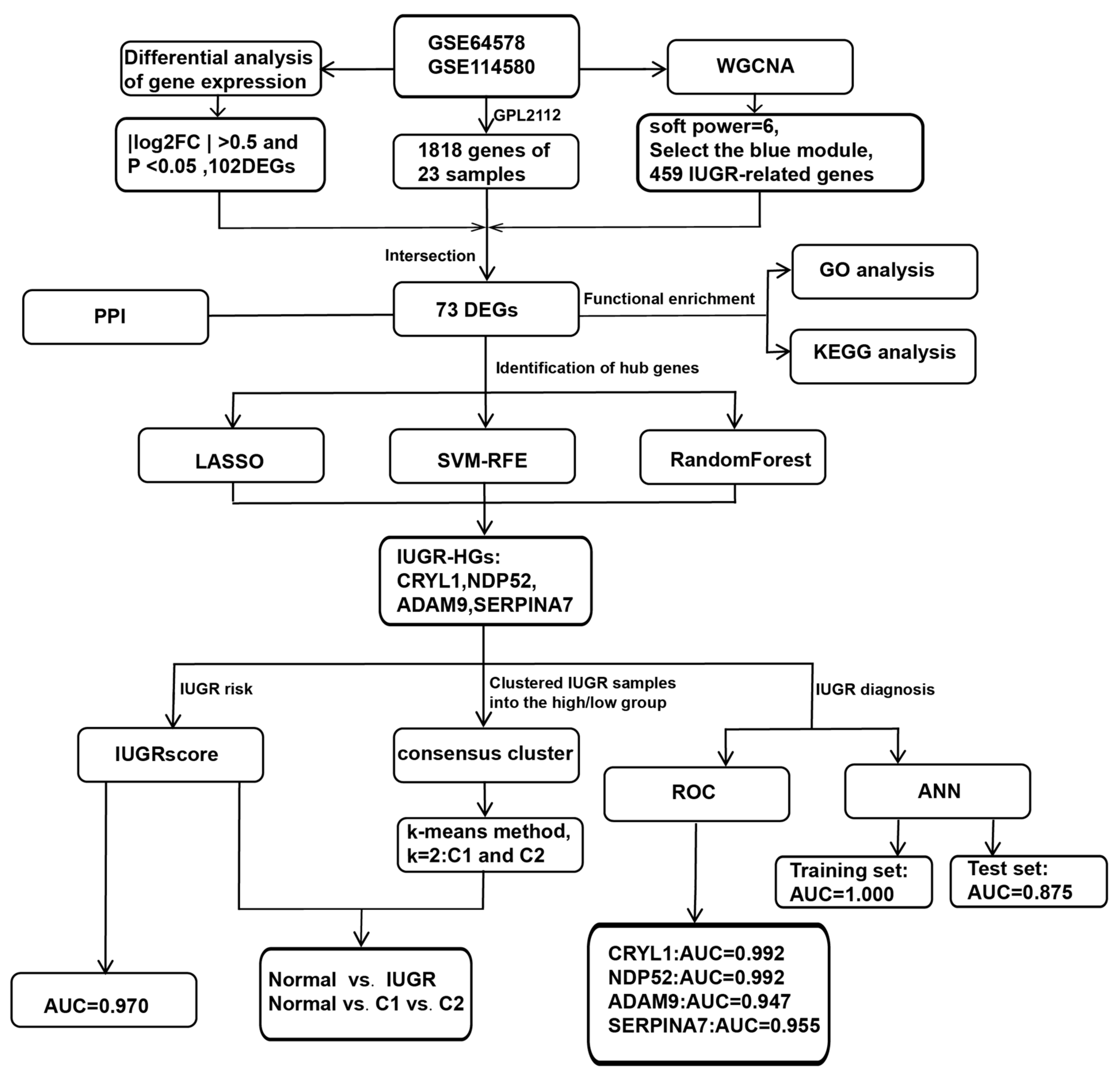 Animals 13 03305 g001 Animals 13 03305 g001