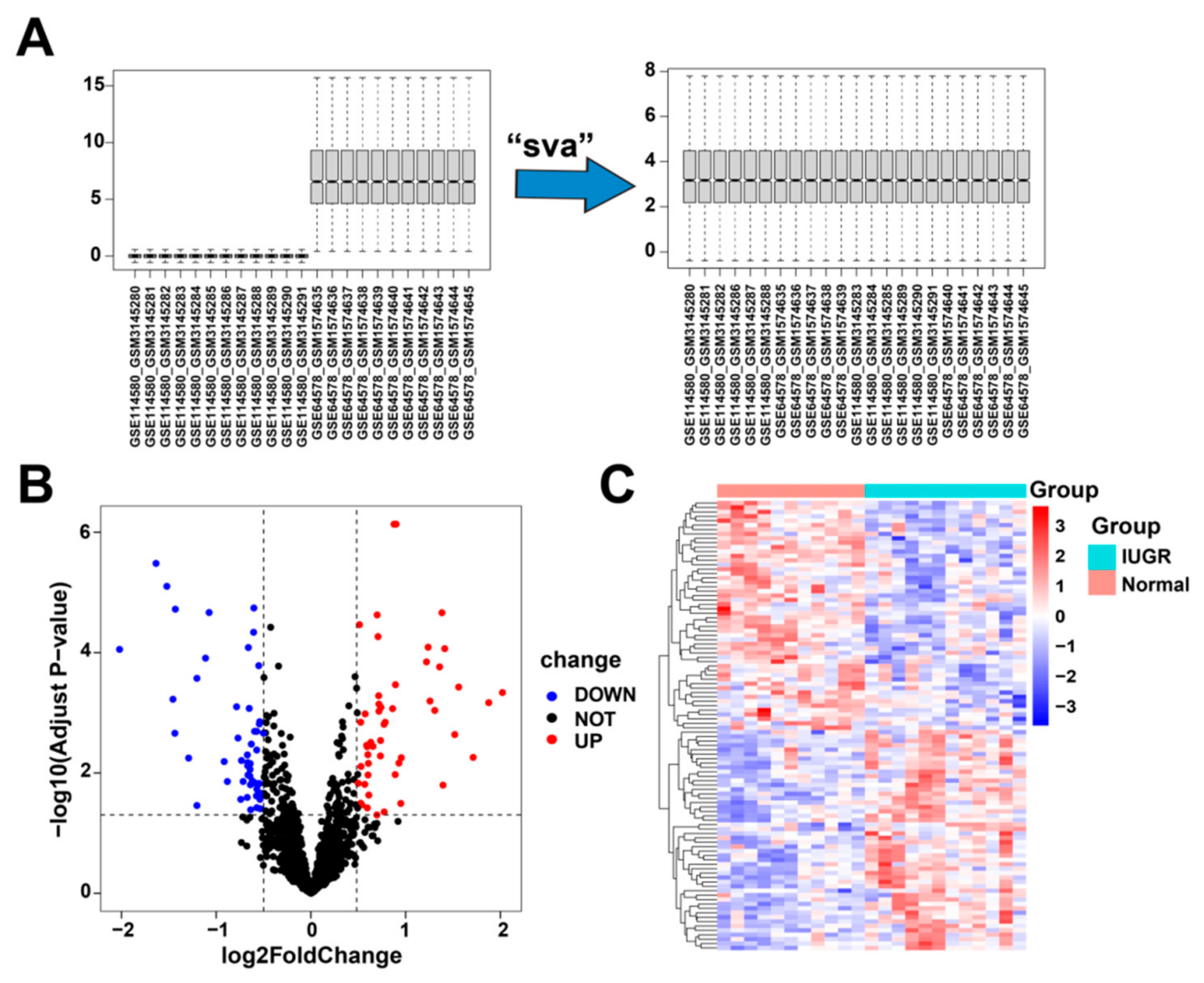 Animals 13 03305 g002 Animals 13 03305 g002