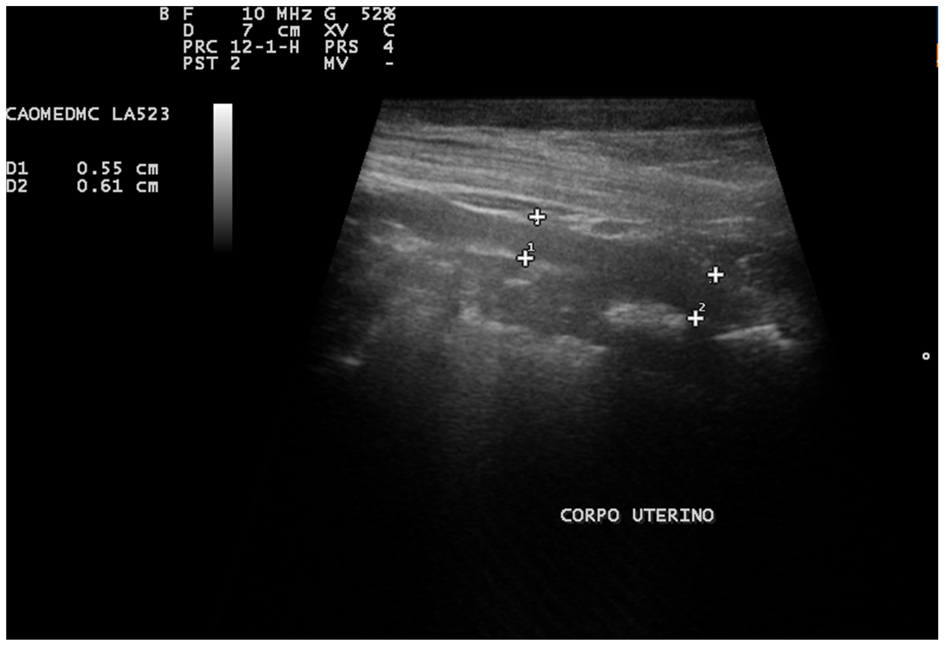 Animals 13 03310 g006