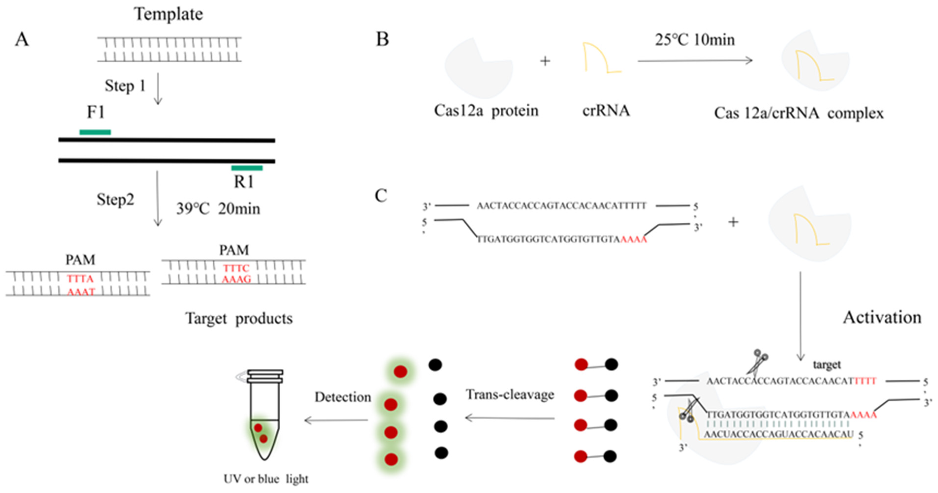Animals 13 03317 g001