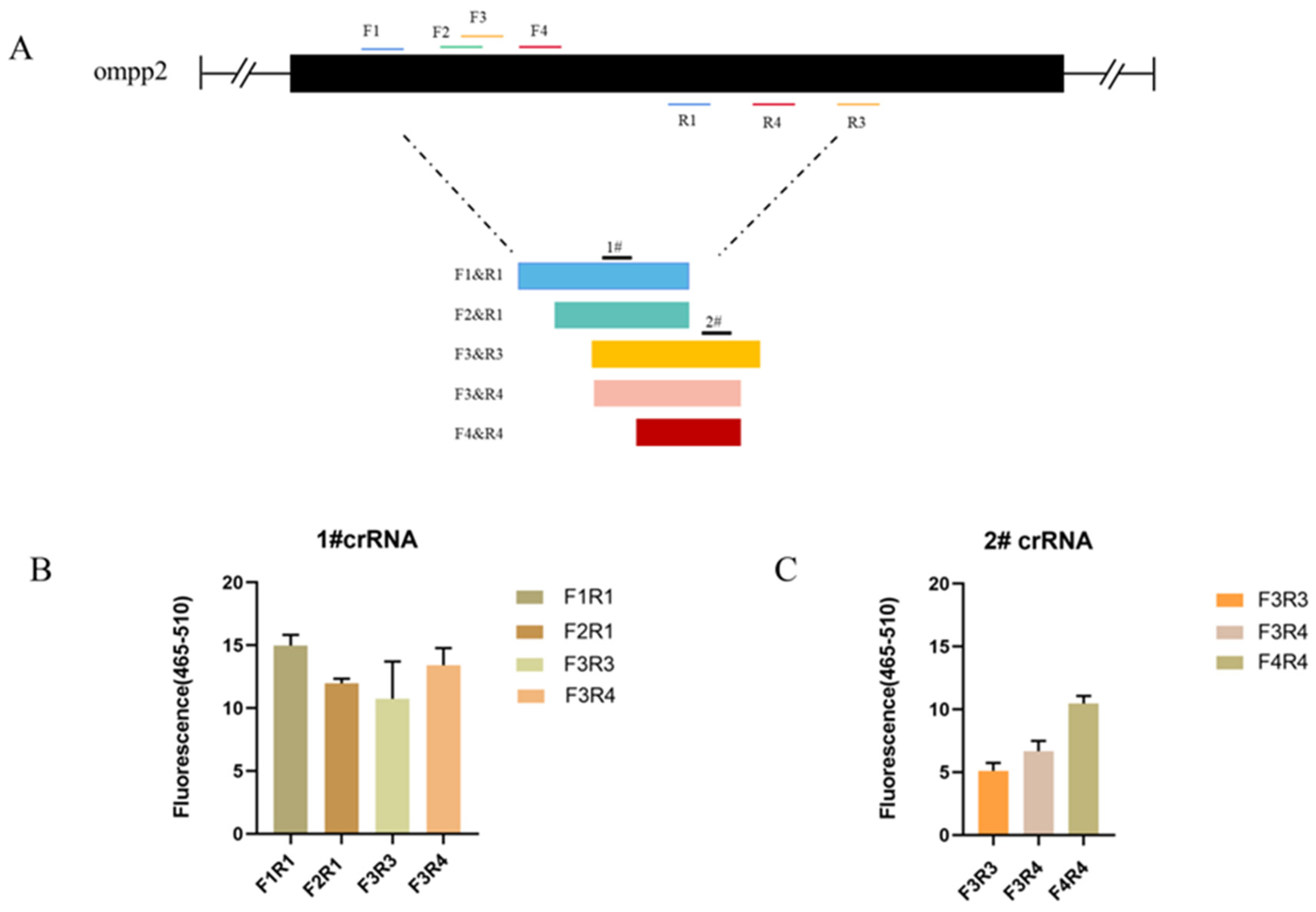 Animals 13 03317 g002