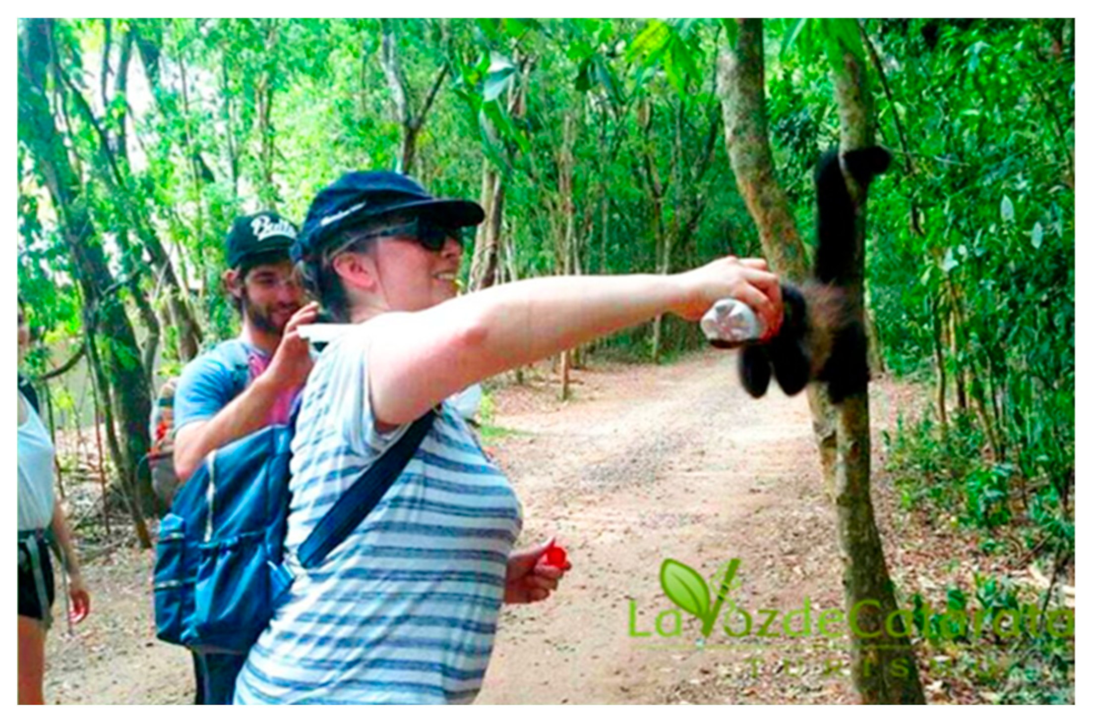 Animals 13 03331 g006