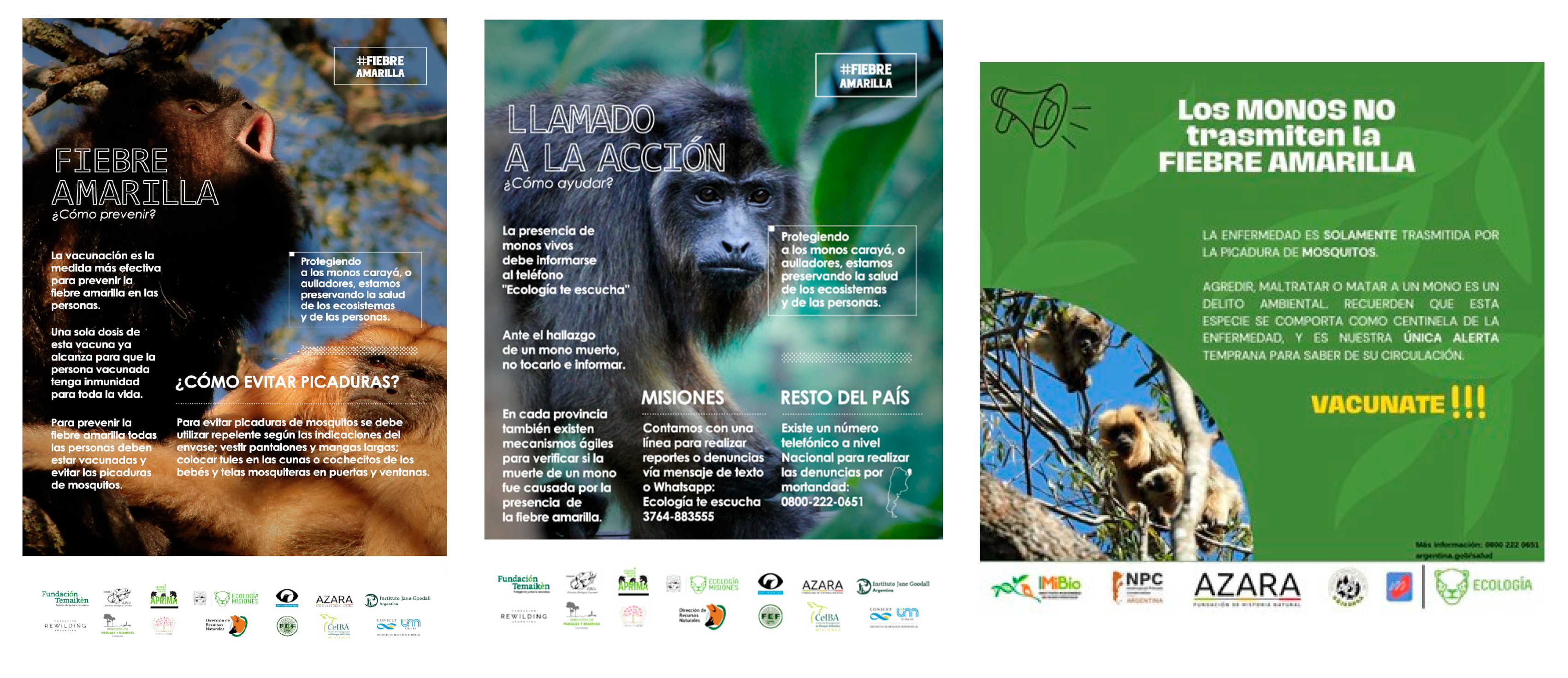 Animals 13 03331 g007