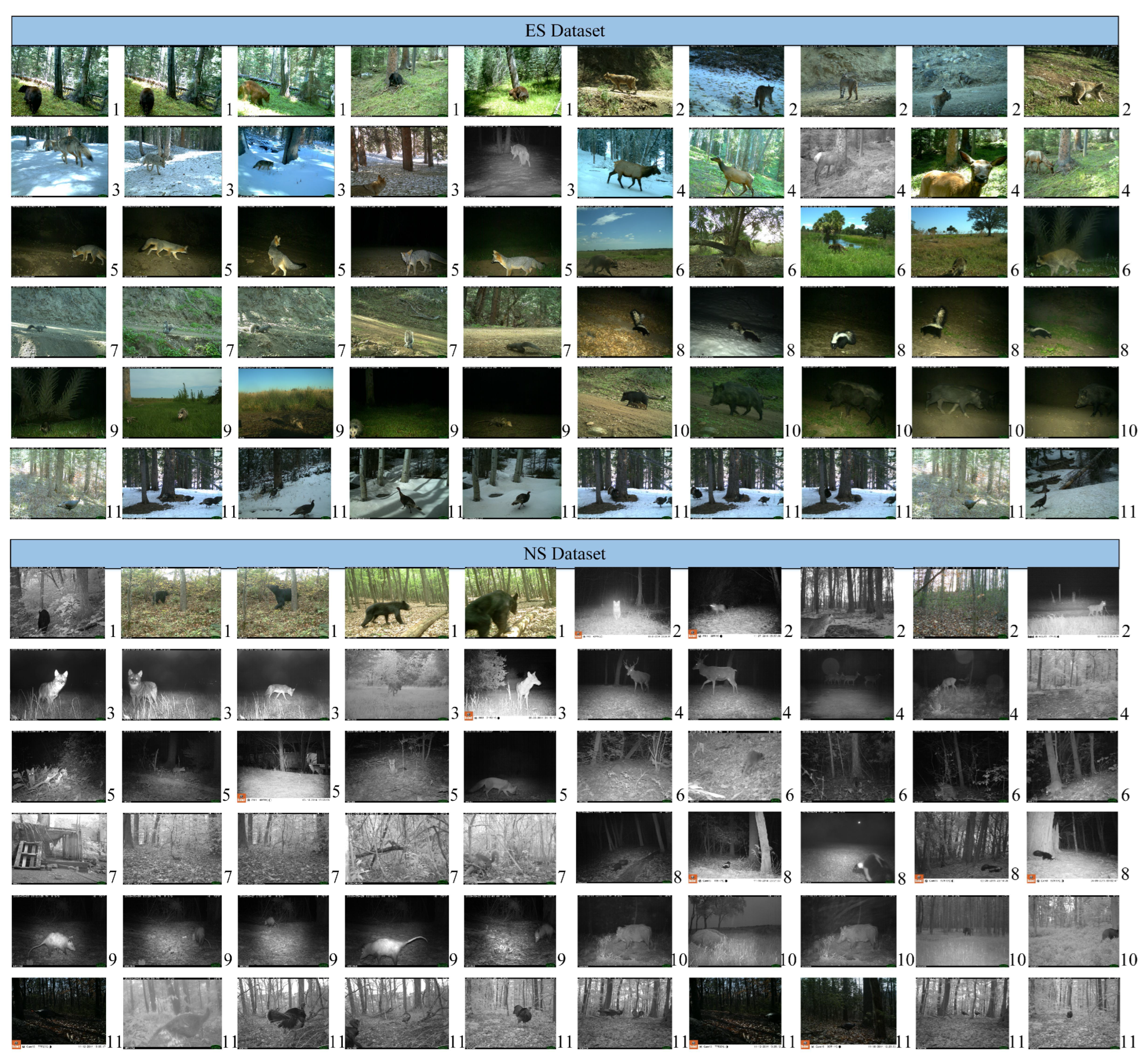 Animals 13 03333 g003