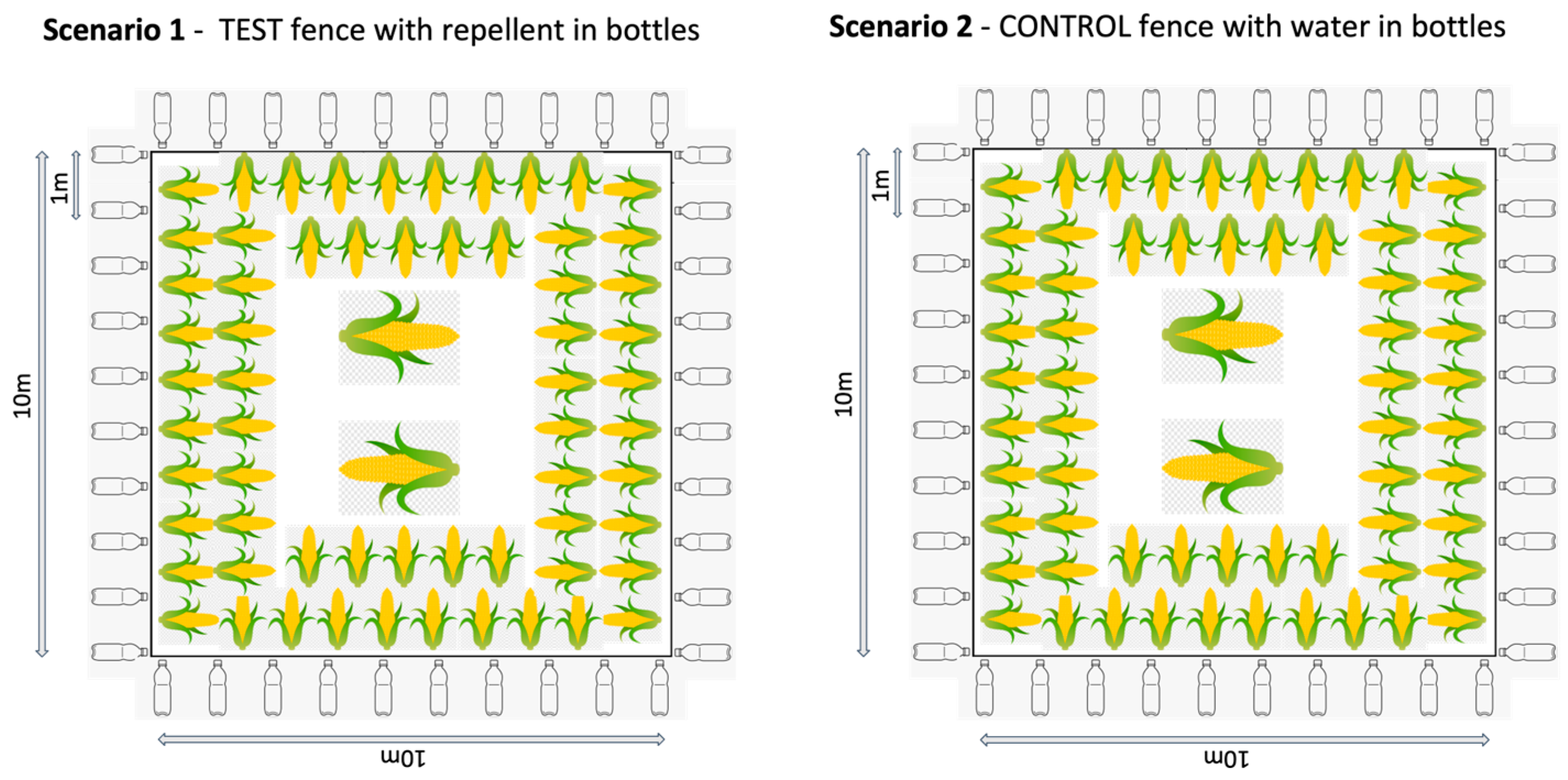 Animals 13 03334 g001a