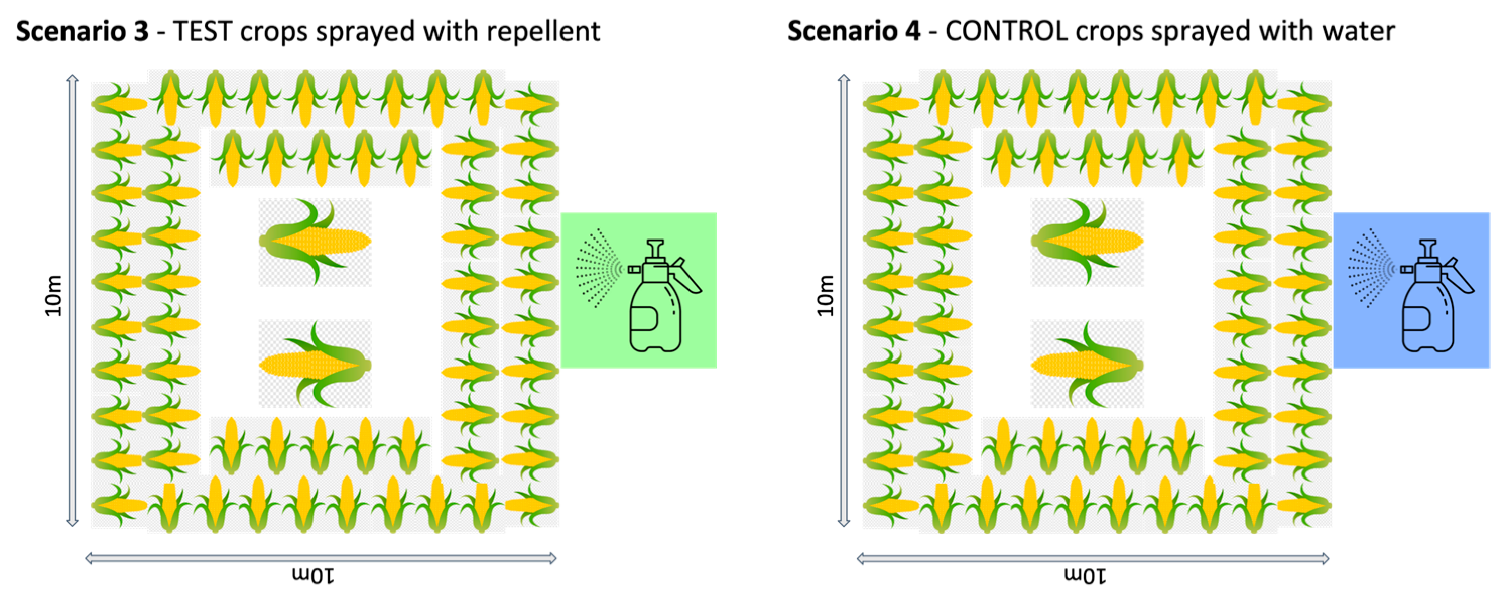 Animals 13 03334 g001b