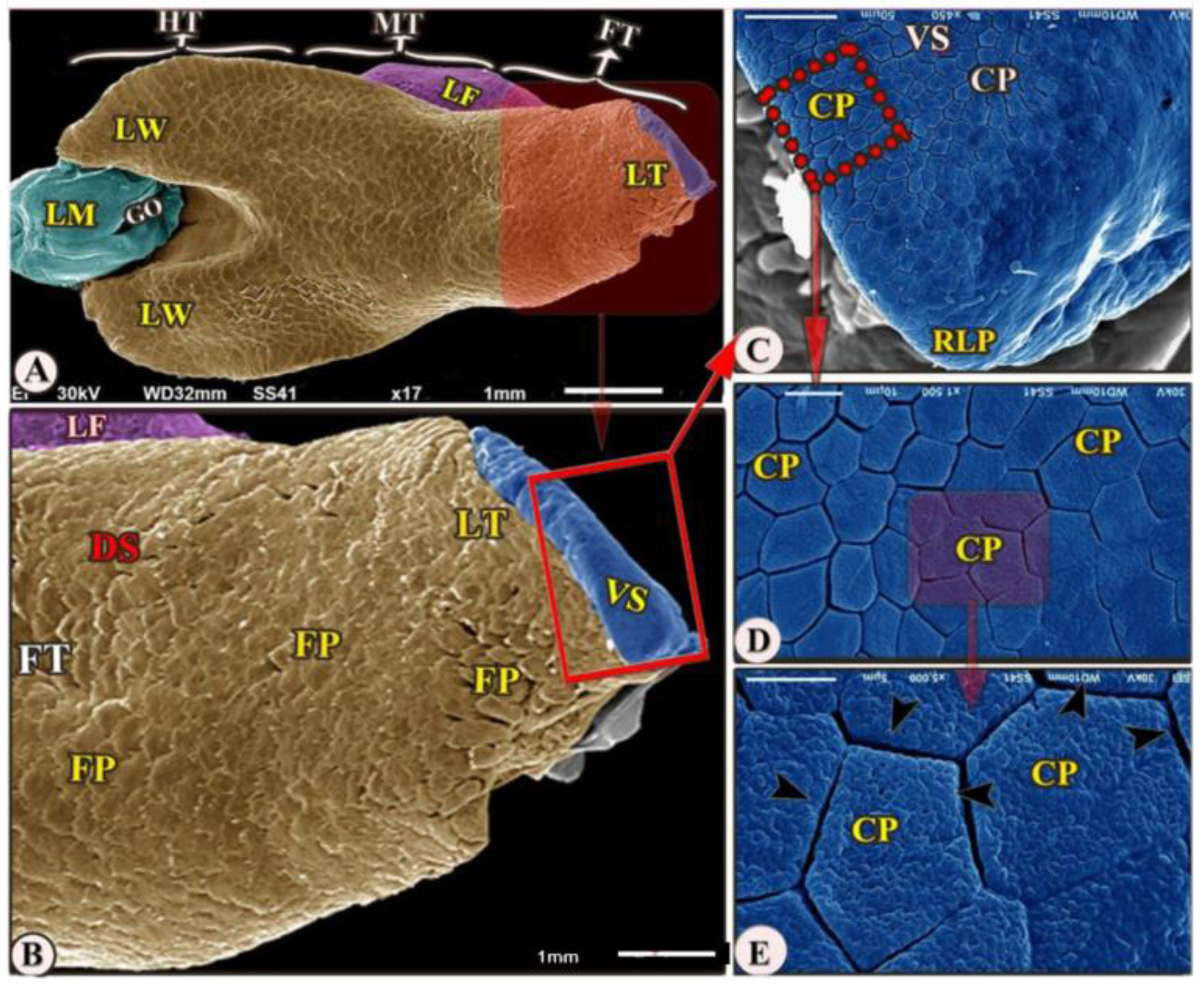 Animals 13 03336 g002
