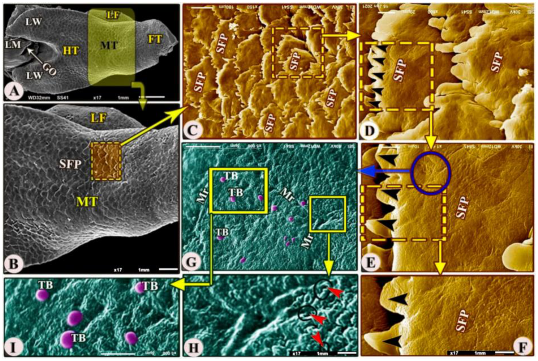 Animals 13 03336 g004