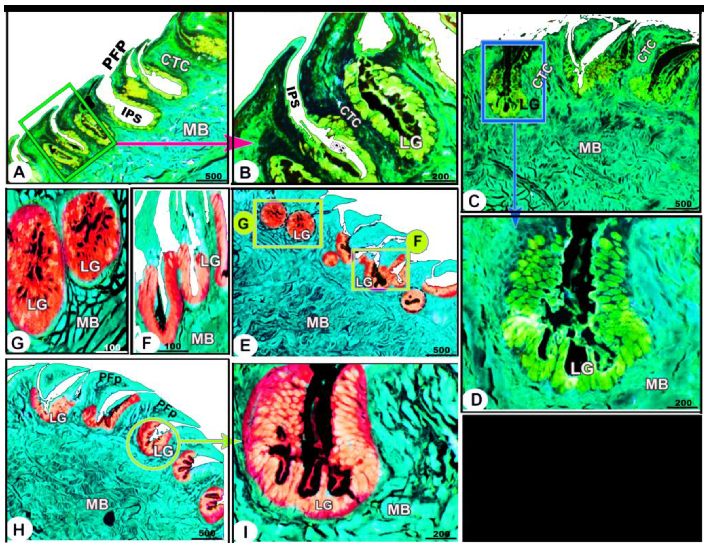 Animals 13 03336 g009
