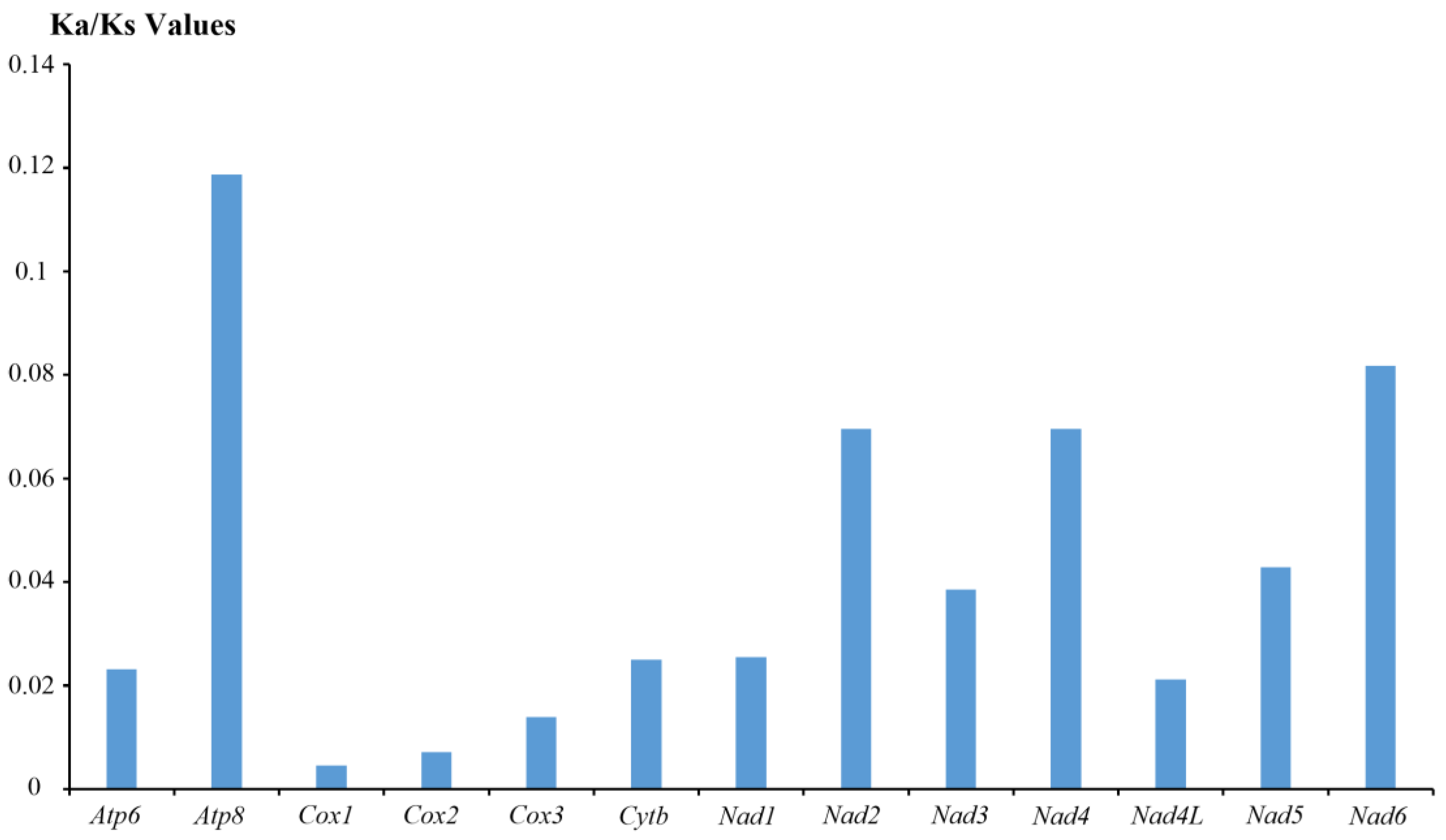 Animals 13 03342 g004