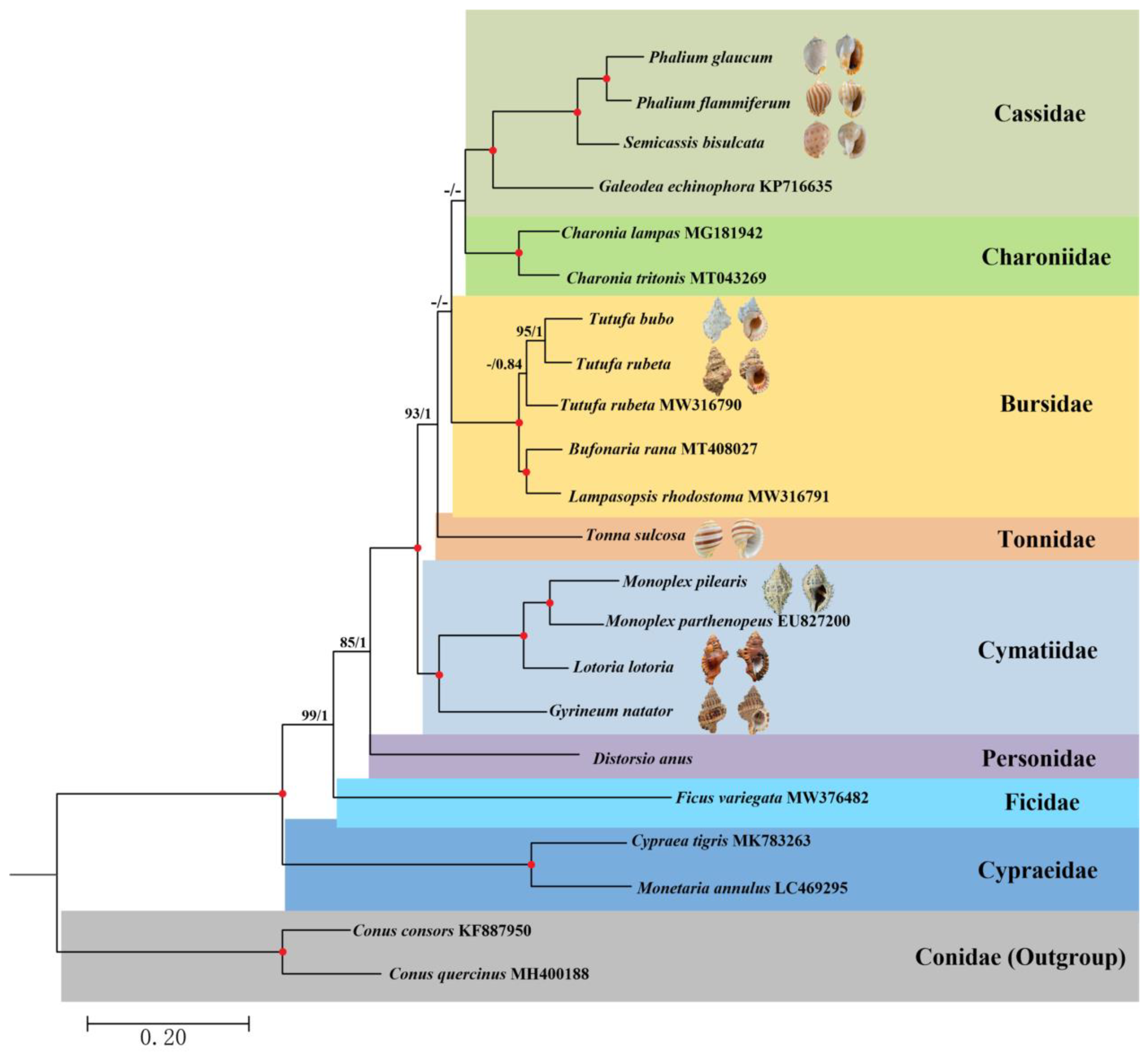 Animals 13 03342 g005