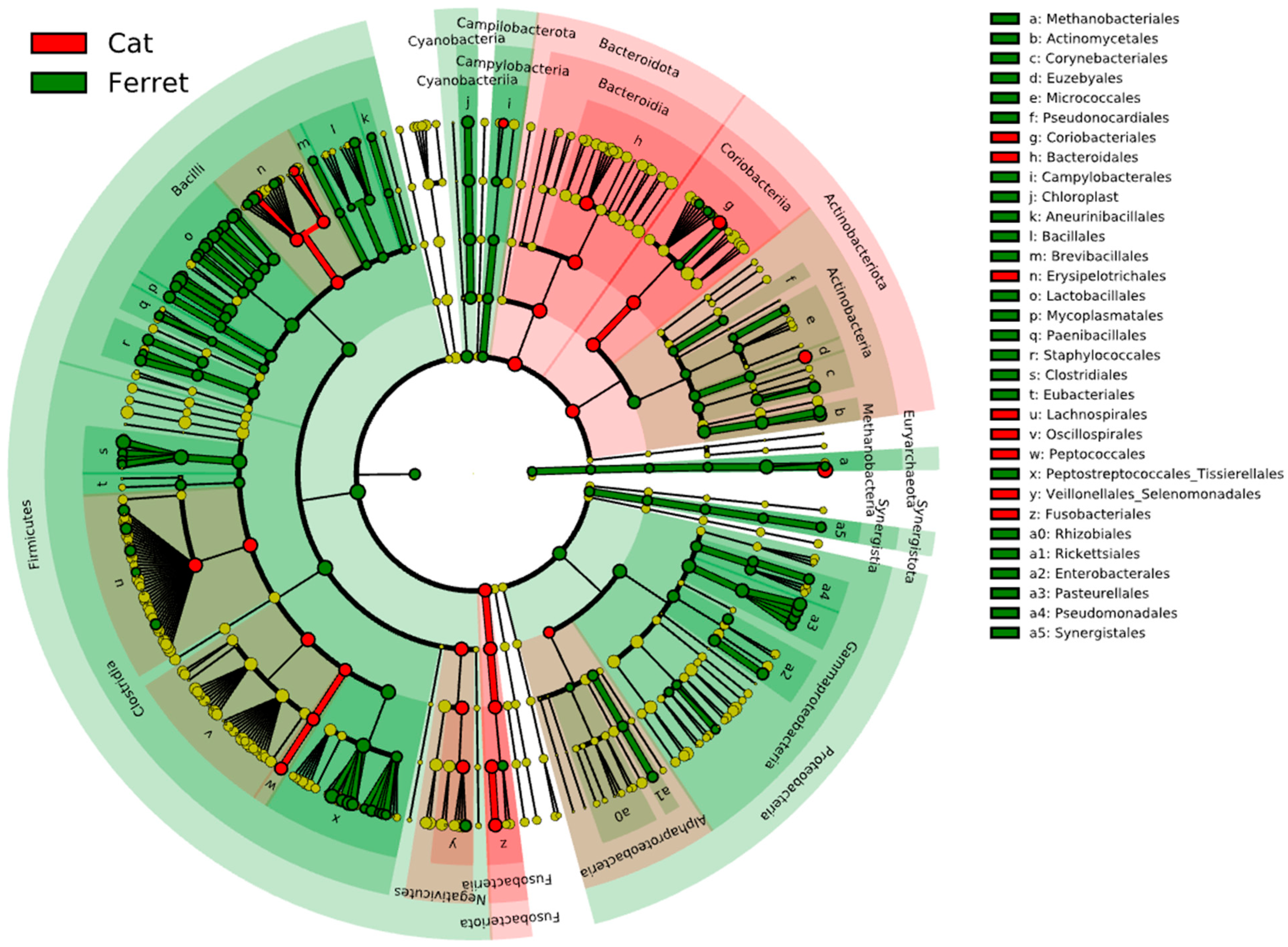Animals 13 03354 g003