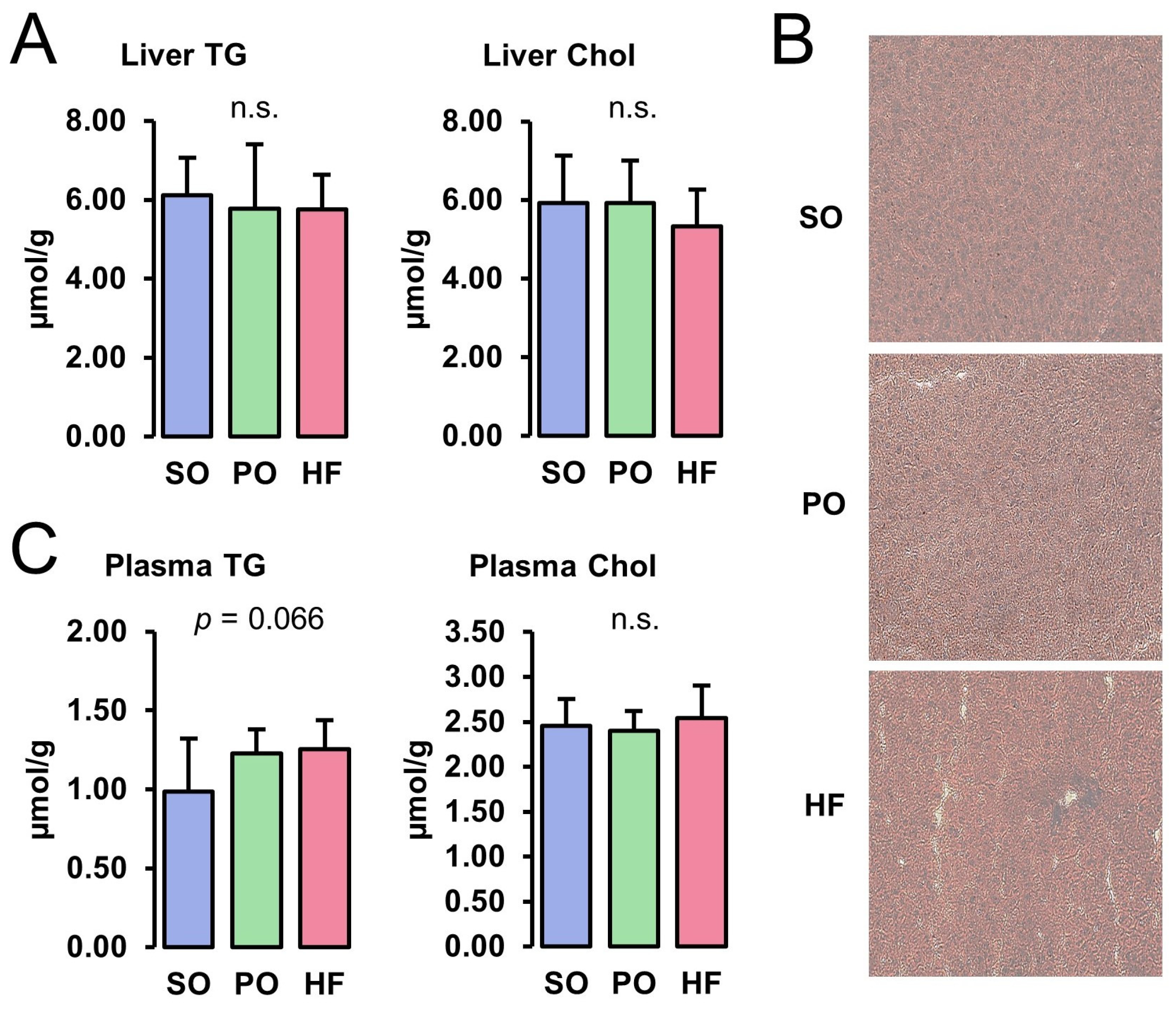 Animals 13 03356 g001