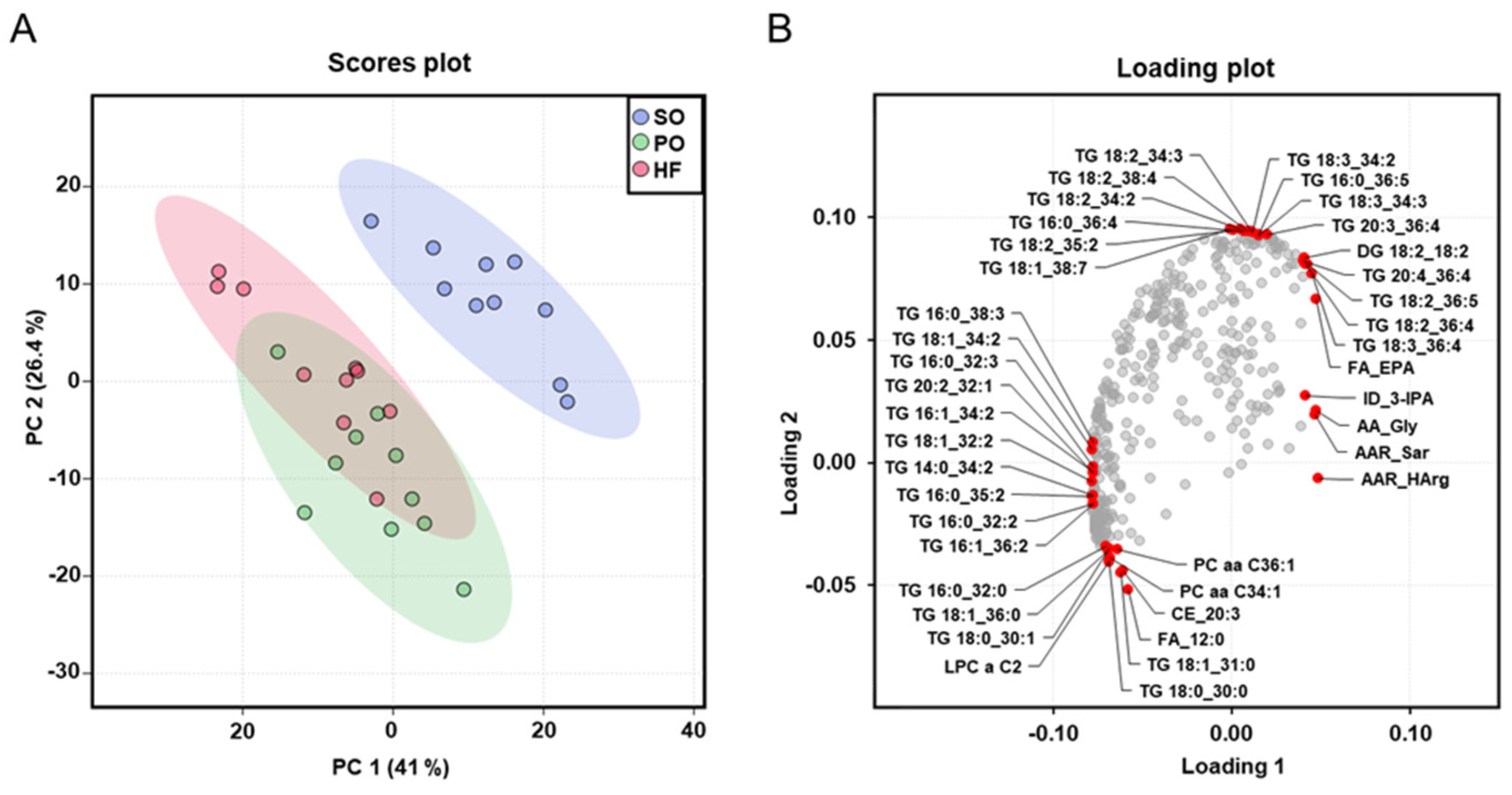 Animals 13 03356 g004