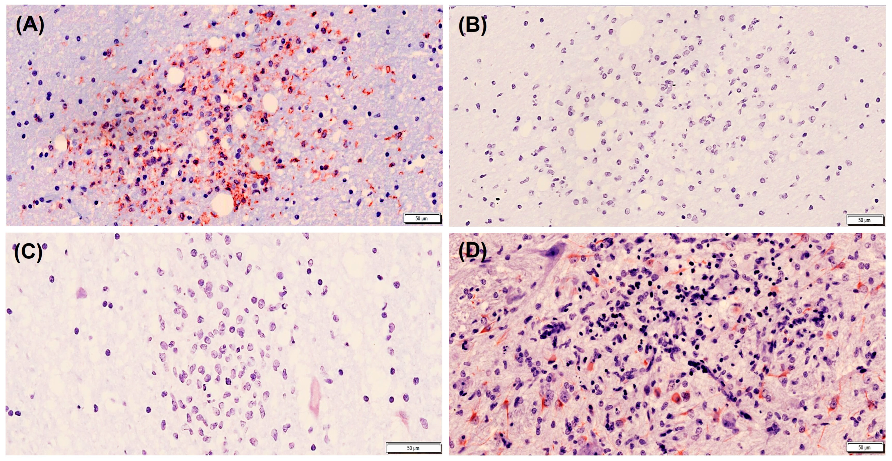 Animals 13 03360 g002