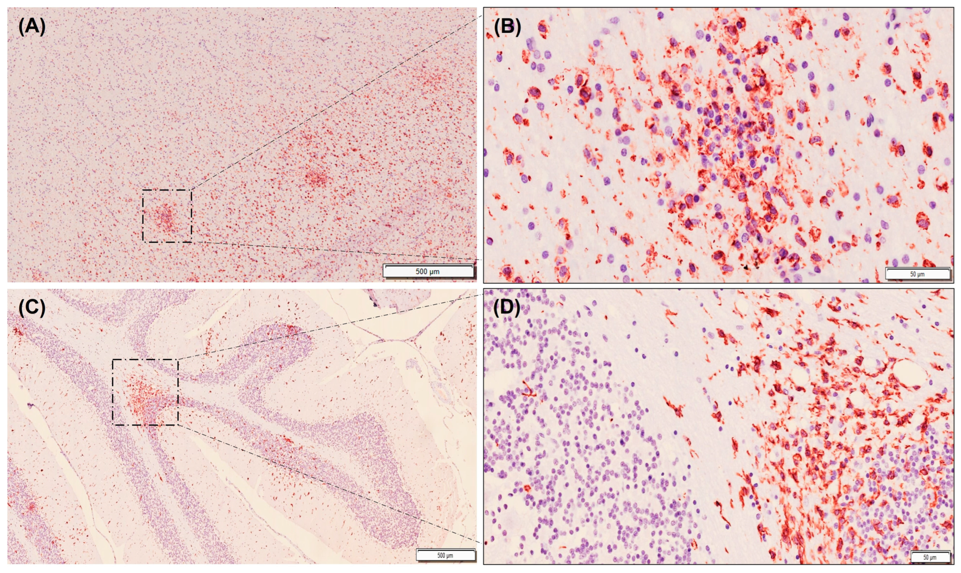 Animals 13 03360 g004