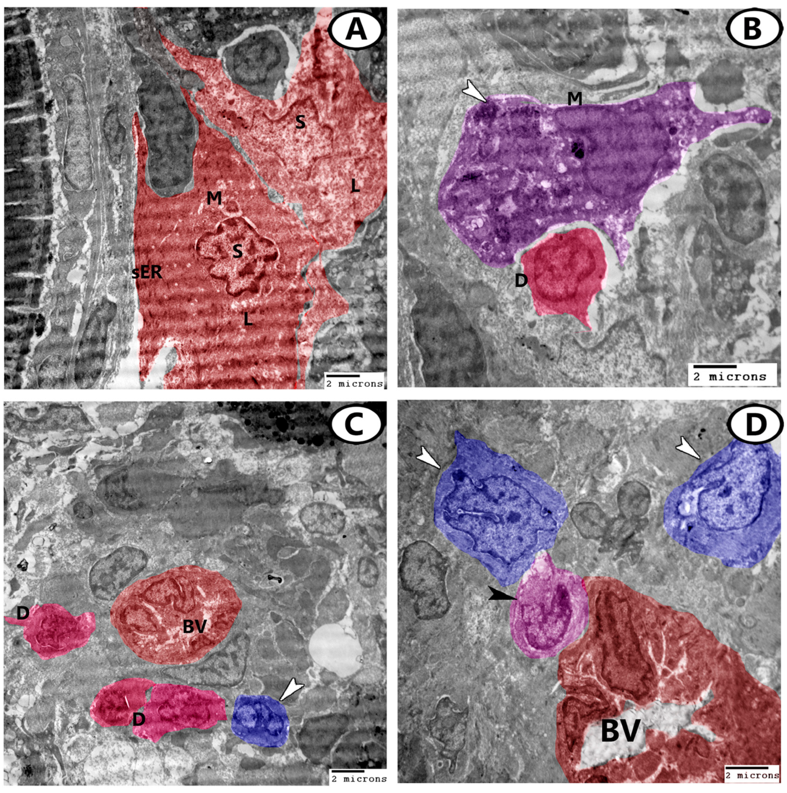 Animals 13 03362 g007 Animals 13 03362 g007