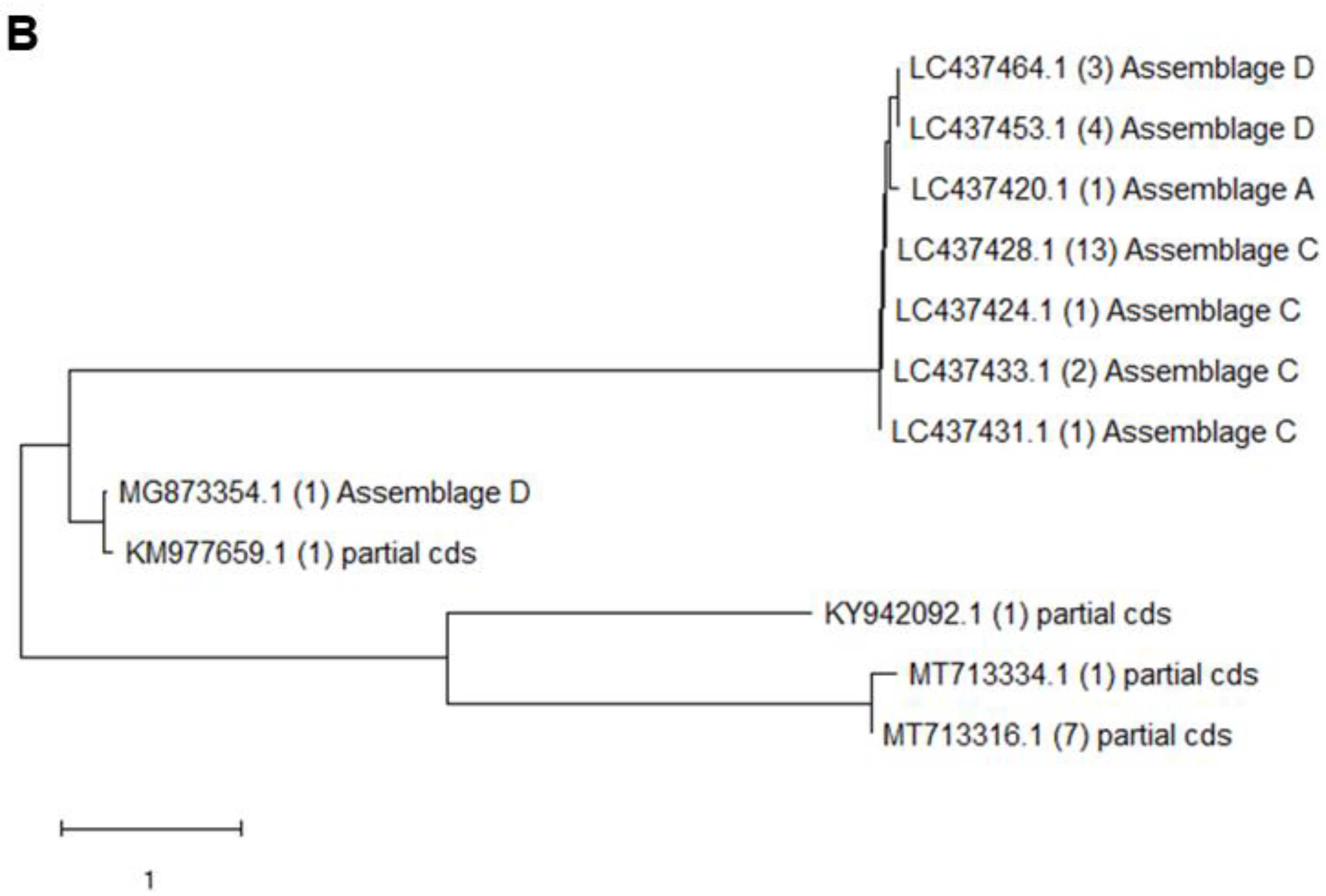 Animals 13 03373 g003b