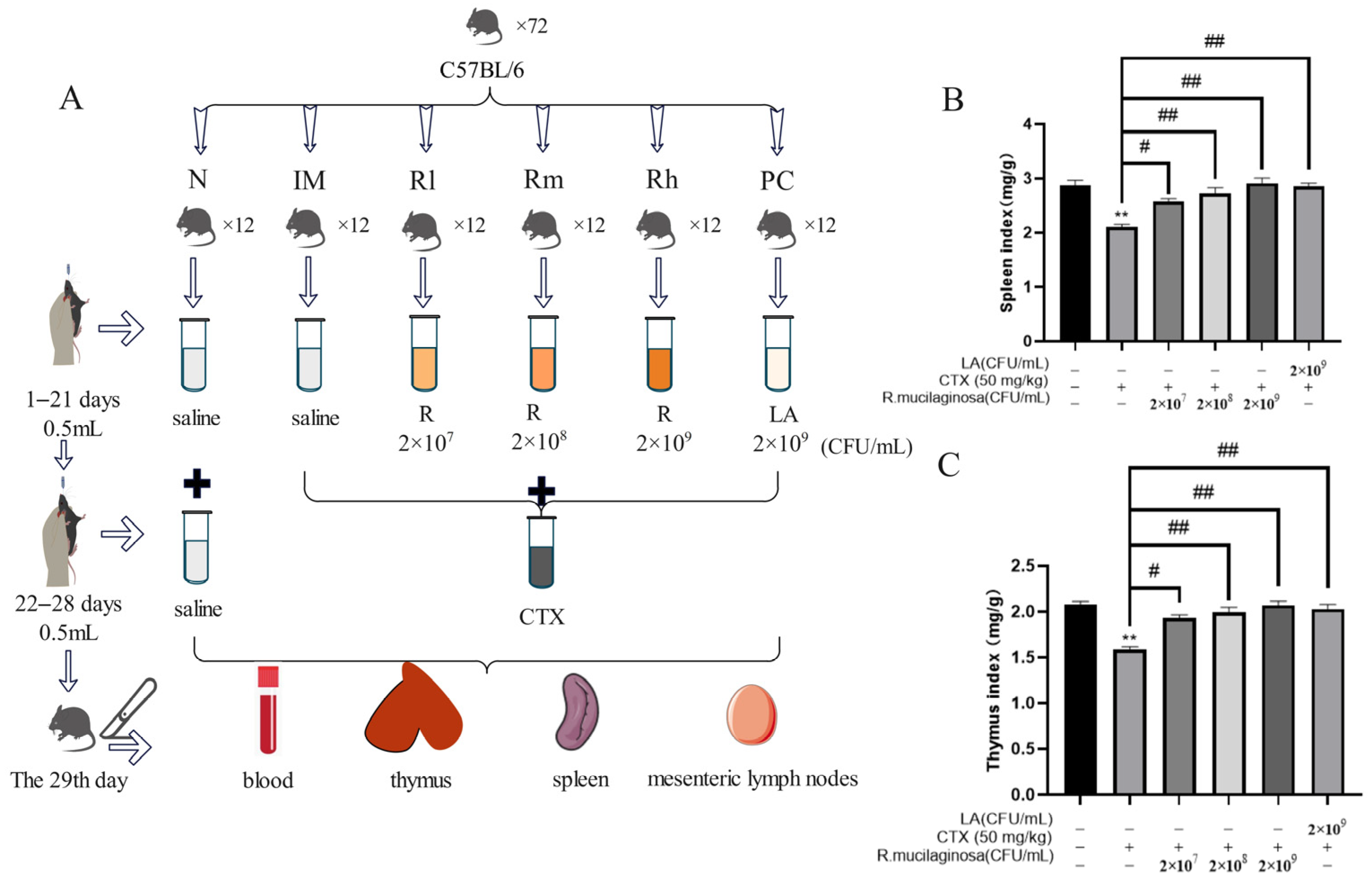 Animals 13 03376 g001 Animals 13 03376 g001
