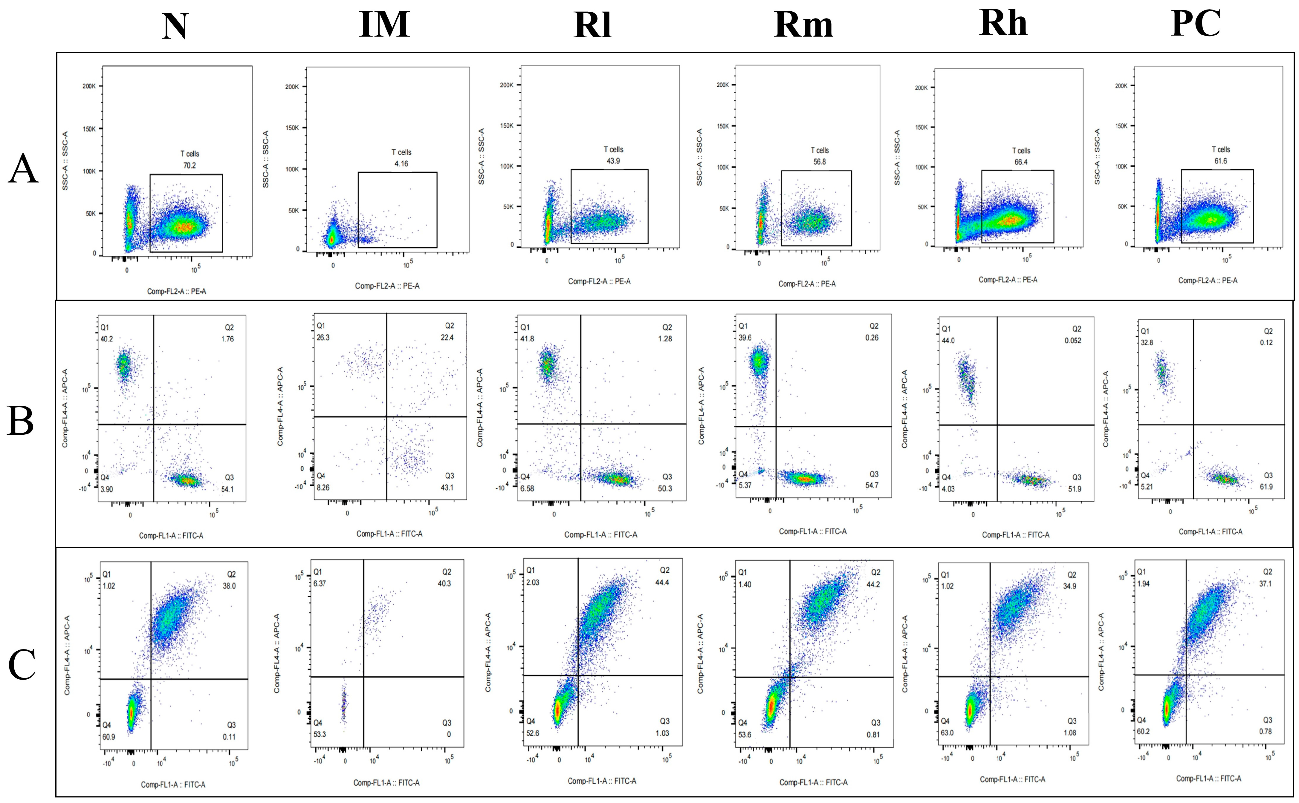 Animals 13 03376 g006 Animals 13 03376 g006