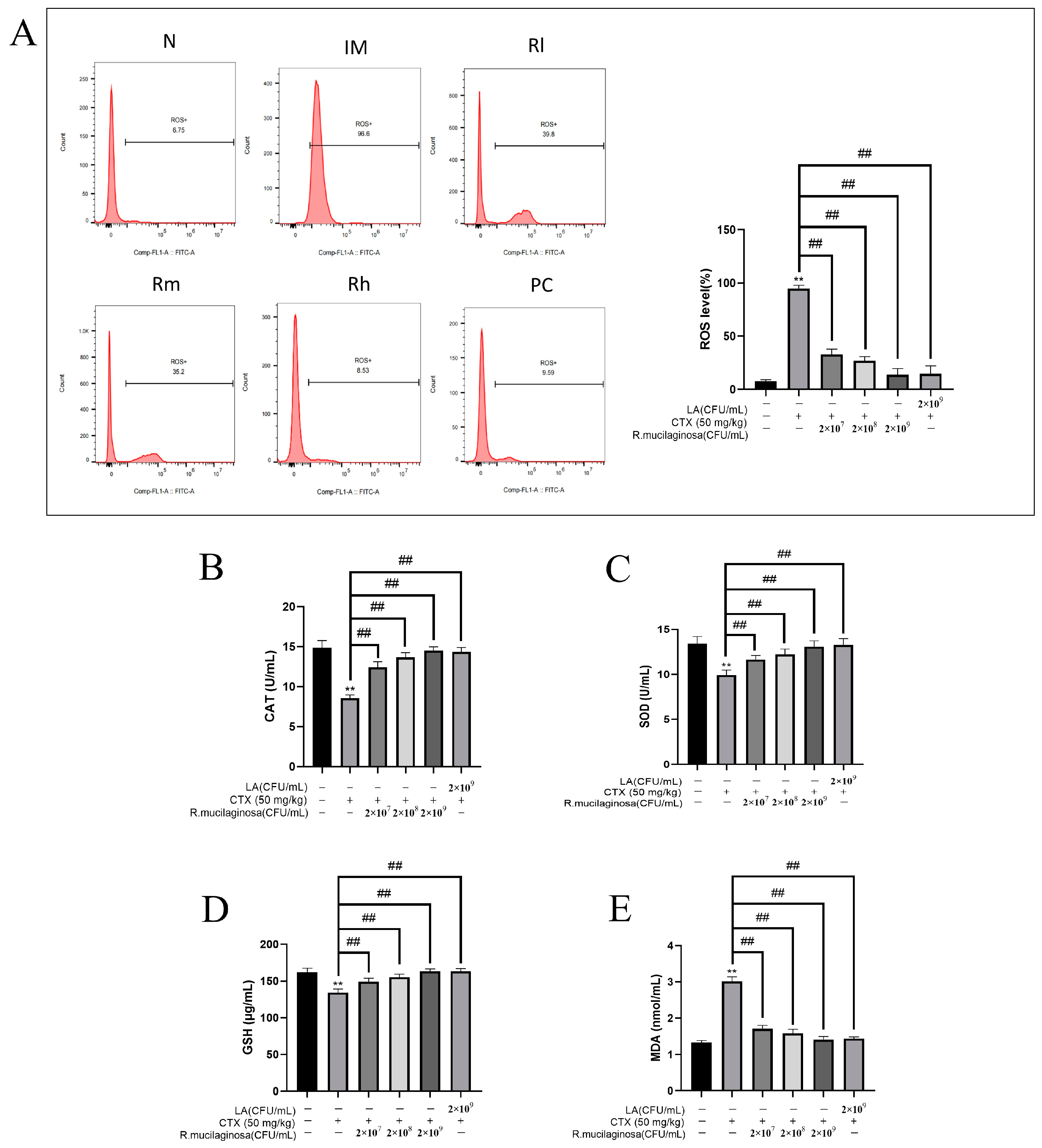 Animals 13 03376 g009 Animals 13 03376 g009