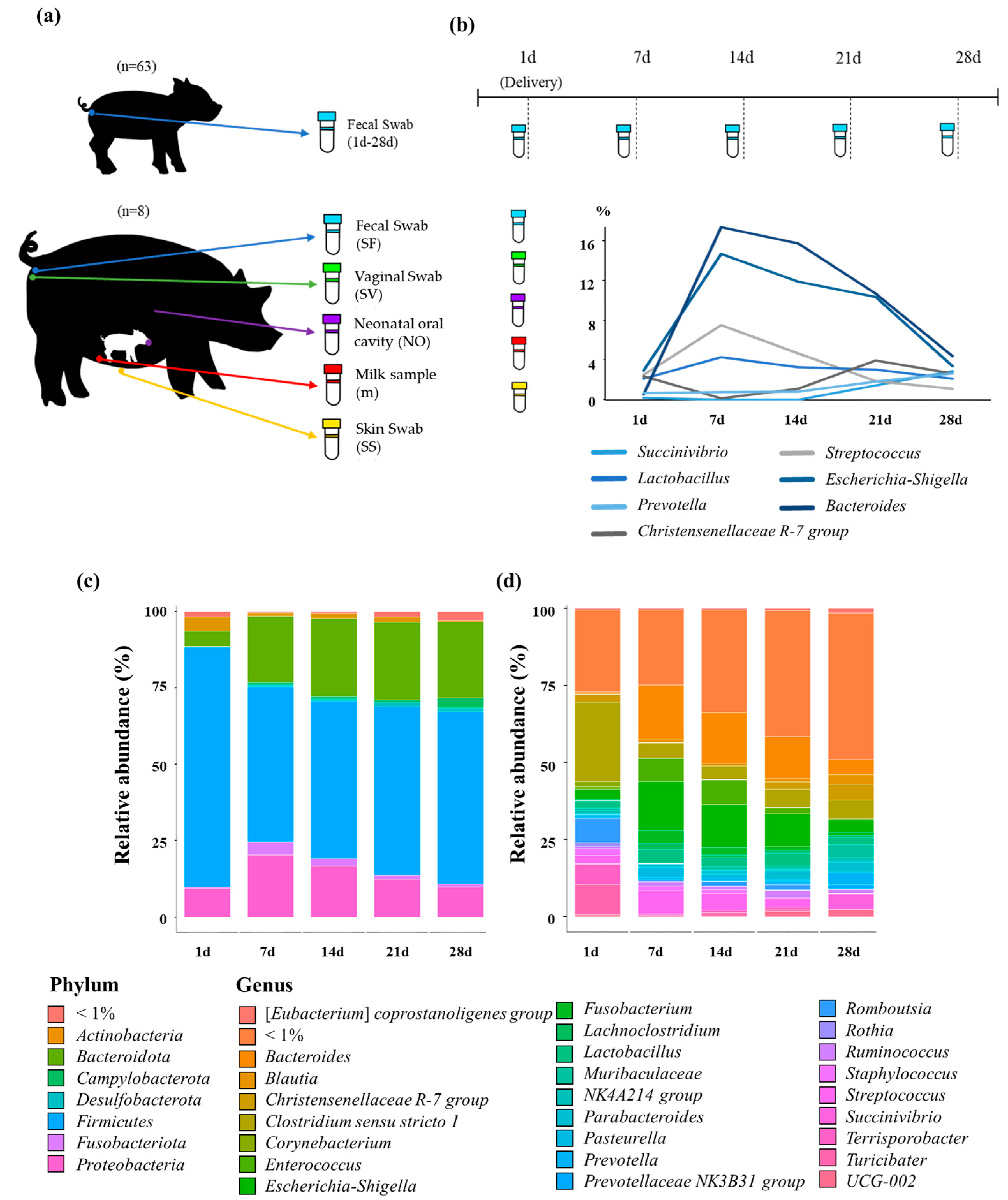 Animals 13 03378 g001