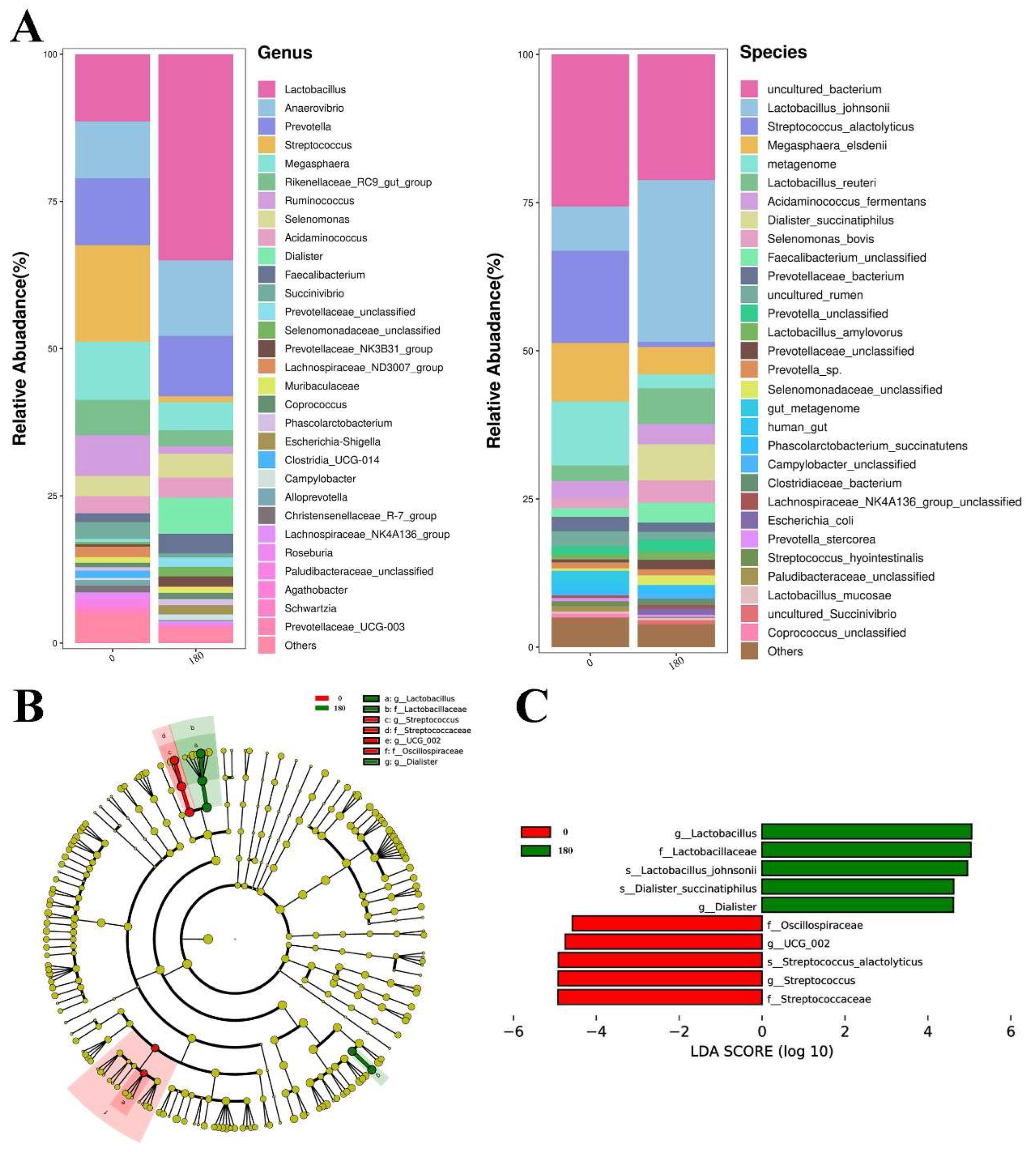 Animals 13 03380 g004