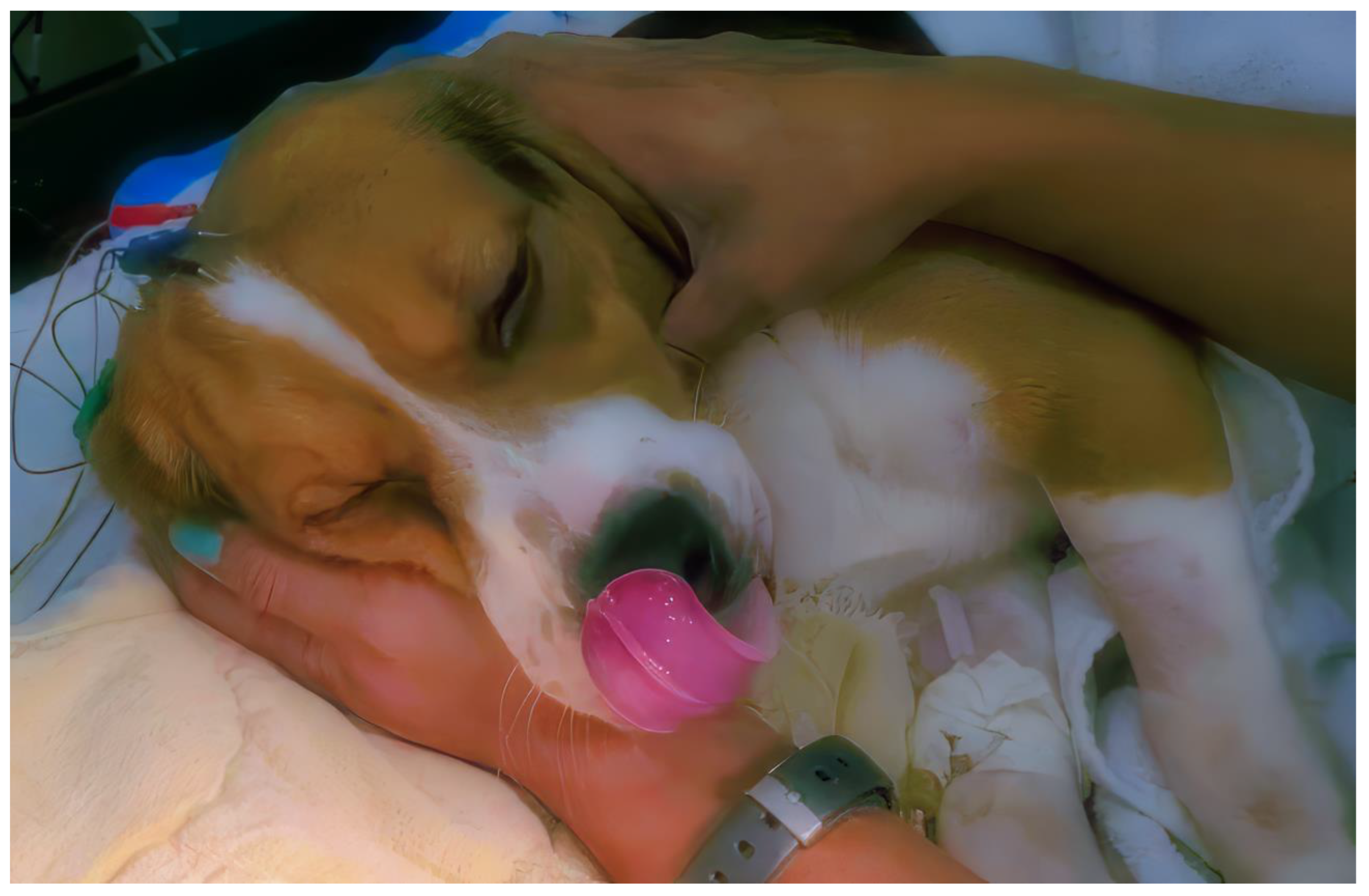 Animals 13 03391 g001