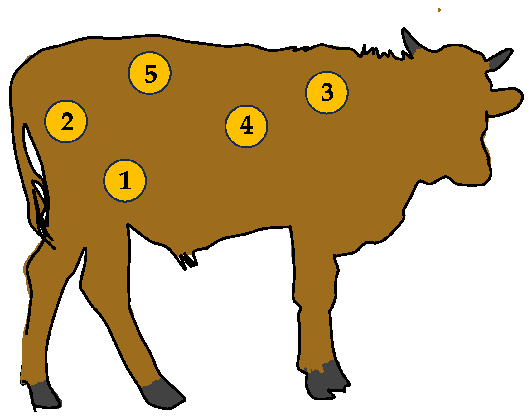 Animals 13 03393 g002 Animals 13 03393 g002