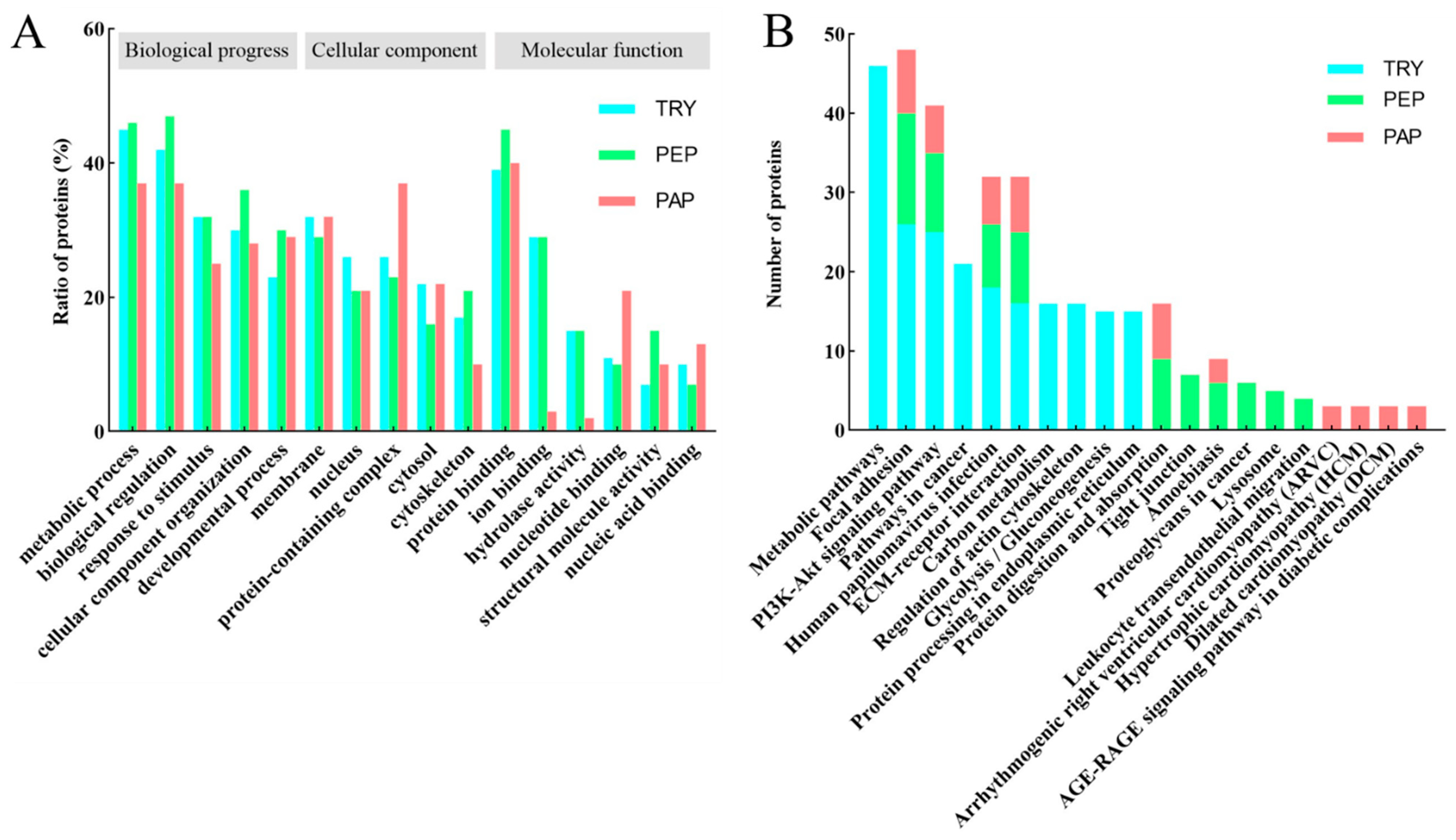 Animals 13 03395 g003