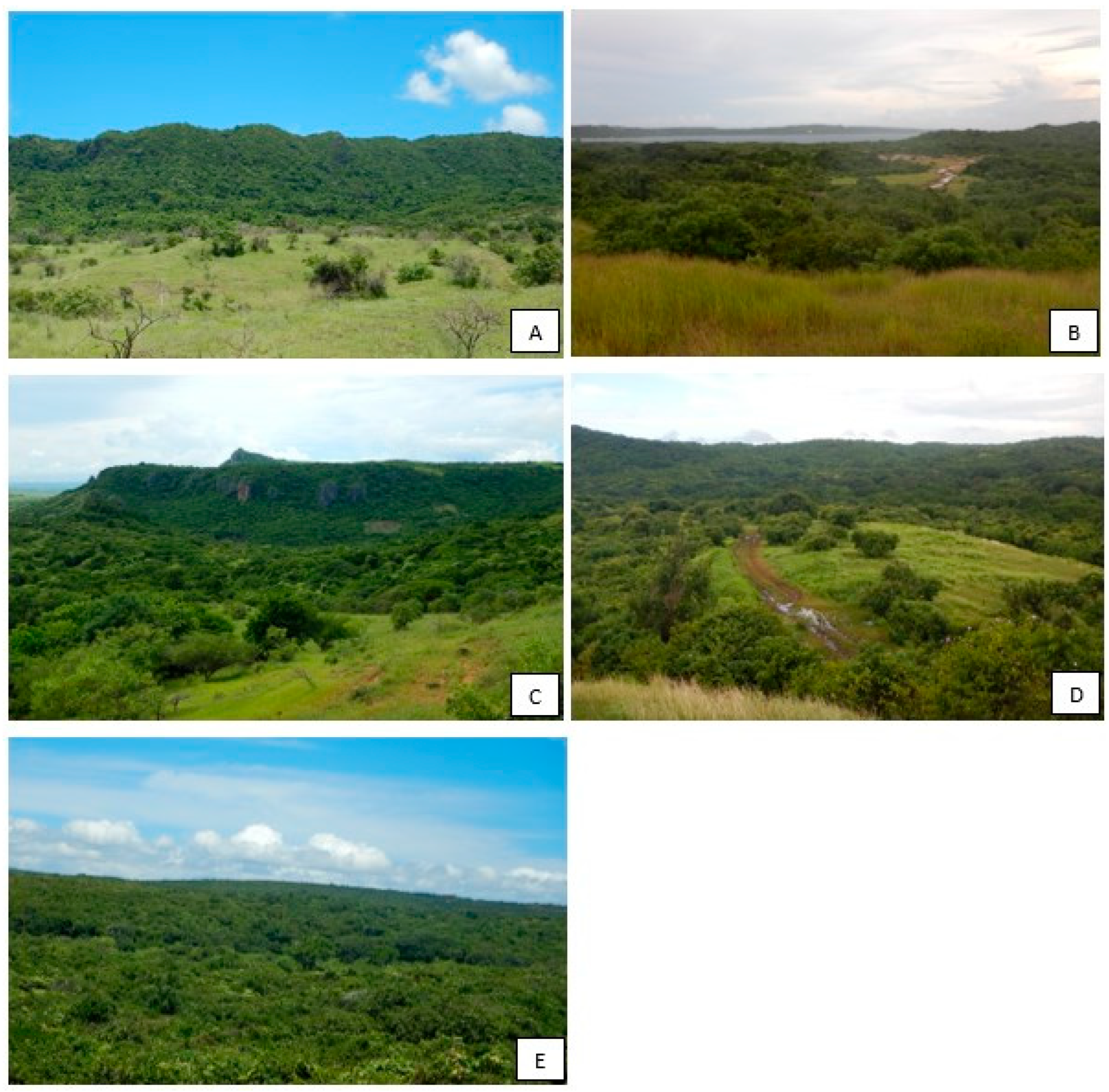 Animals 13 03396 g002