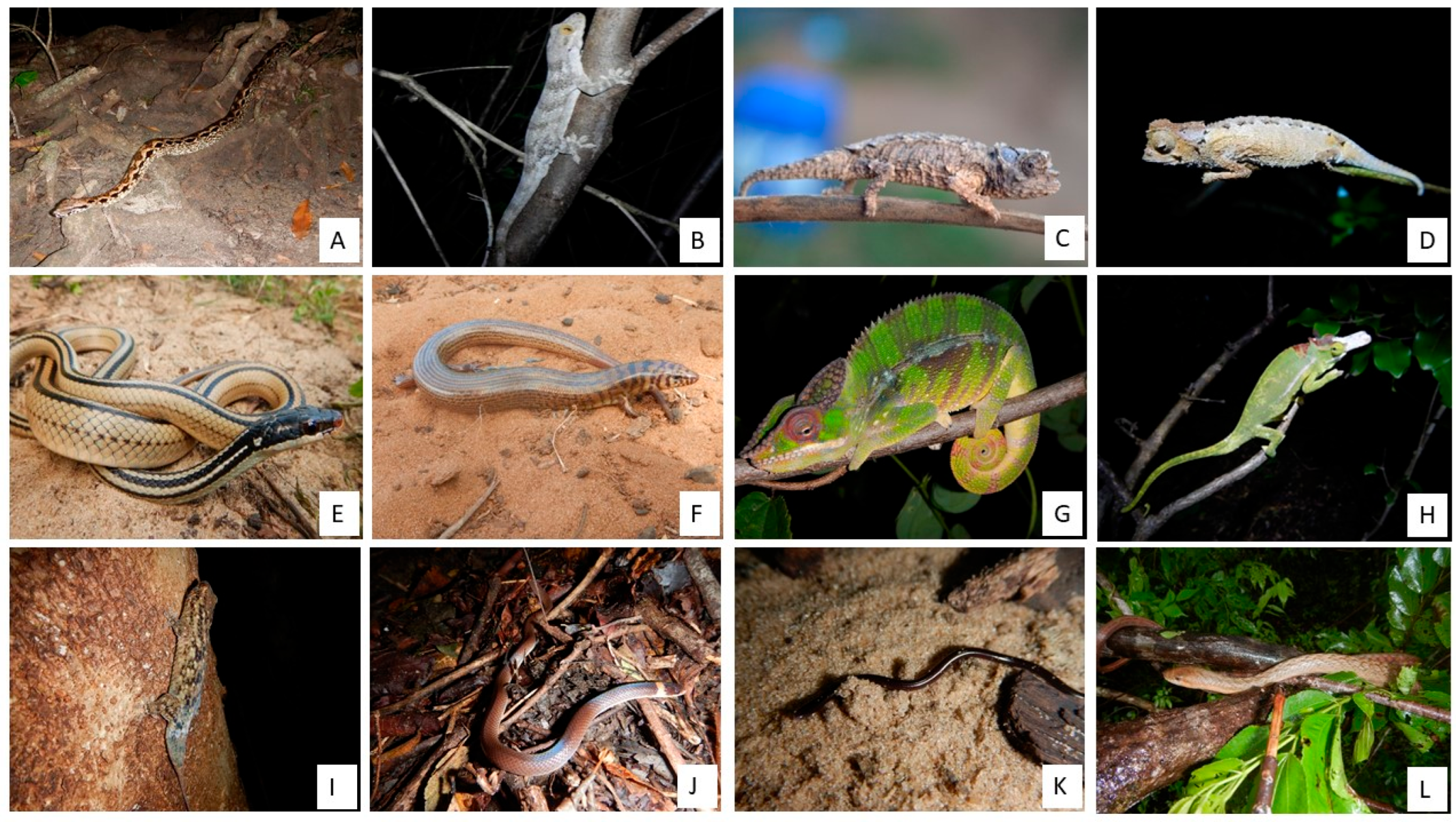 Animals 13 03396 g005