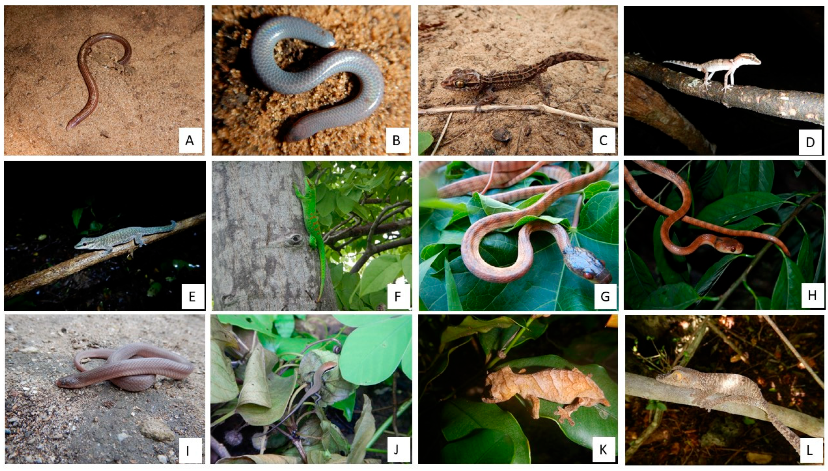 Animals 13 03396 g007