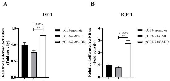 A Functional Variant Alters the Binding of Bone