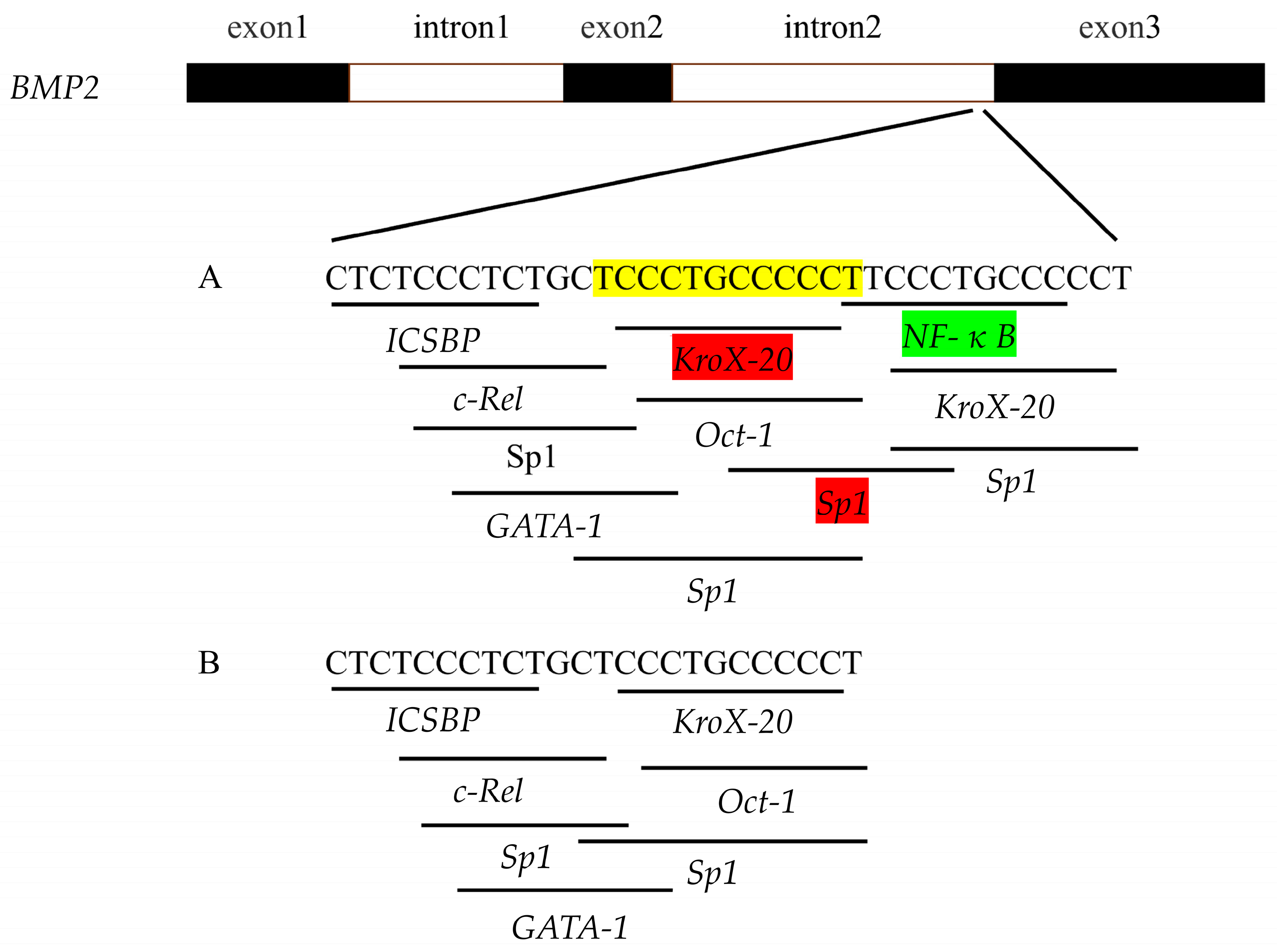 Animals 13 03401 g002