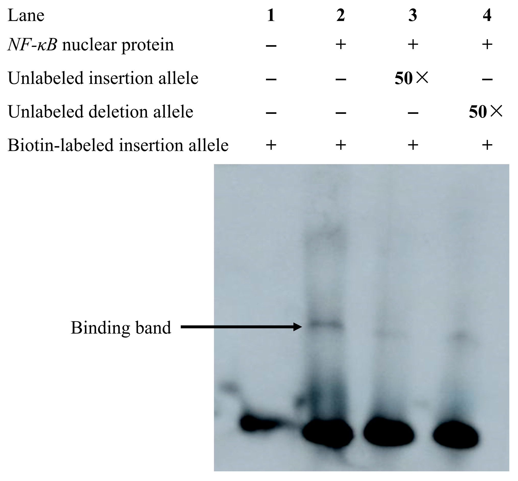 Animals 13 03401 g006