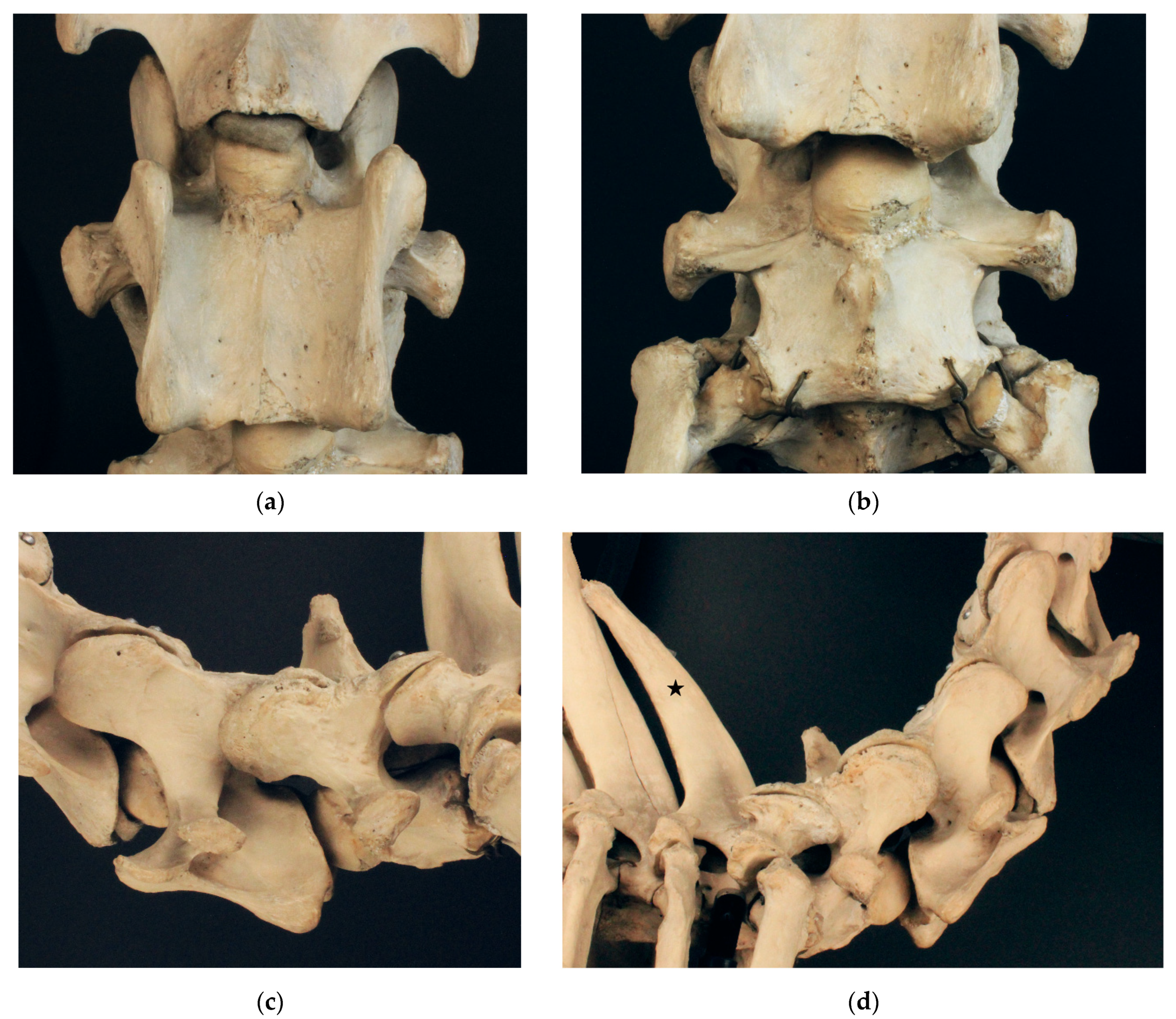 Animals 13 03415 g002