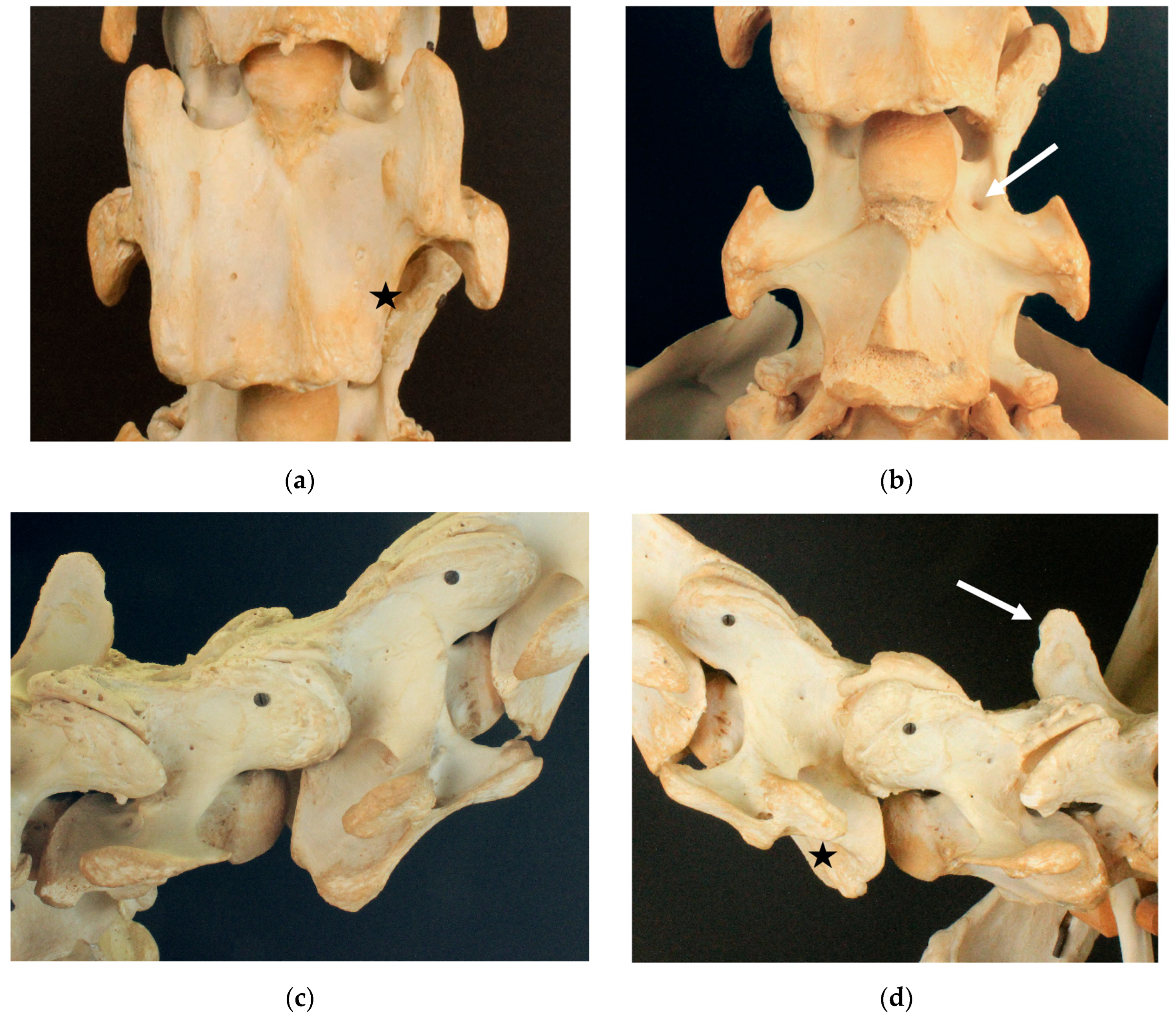 Animals 13 03415 g004