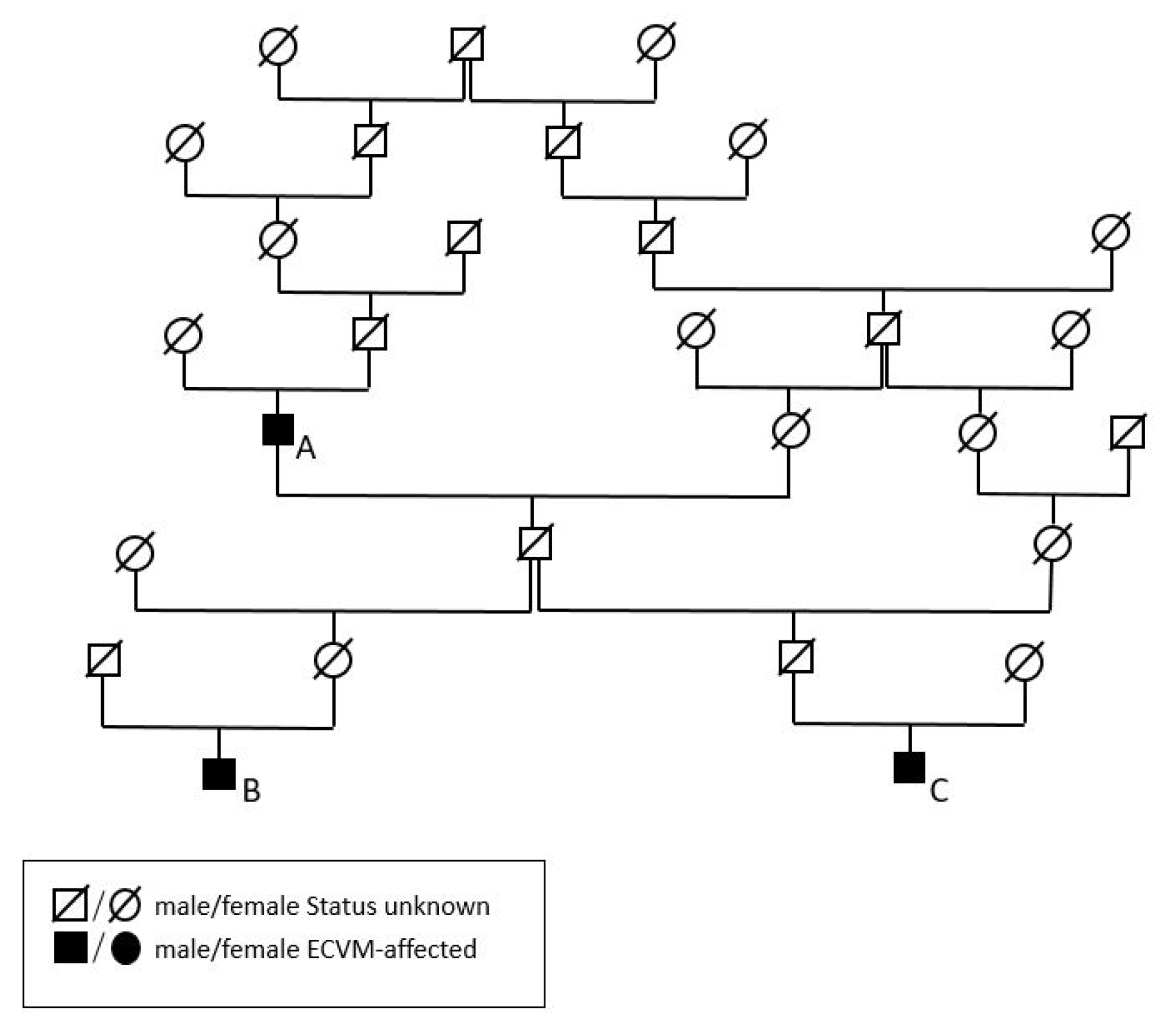 Animals 13 03415 g006