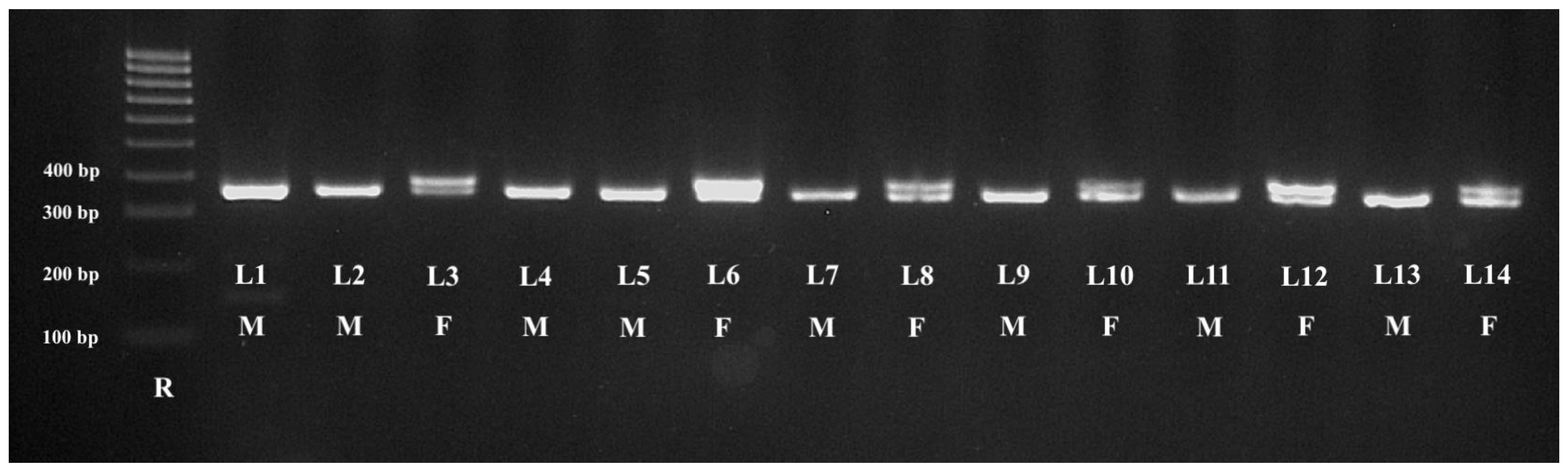 Animals 13 03417 g002