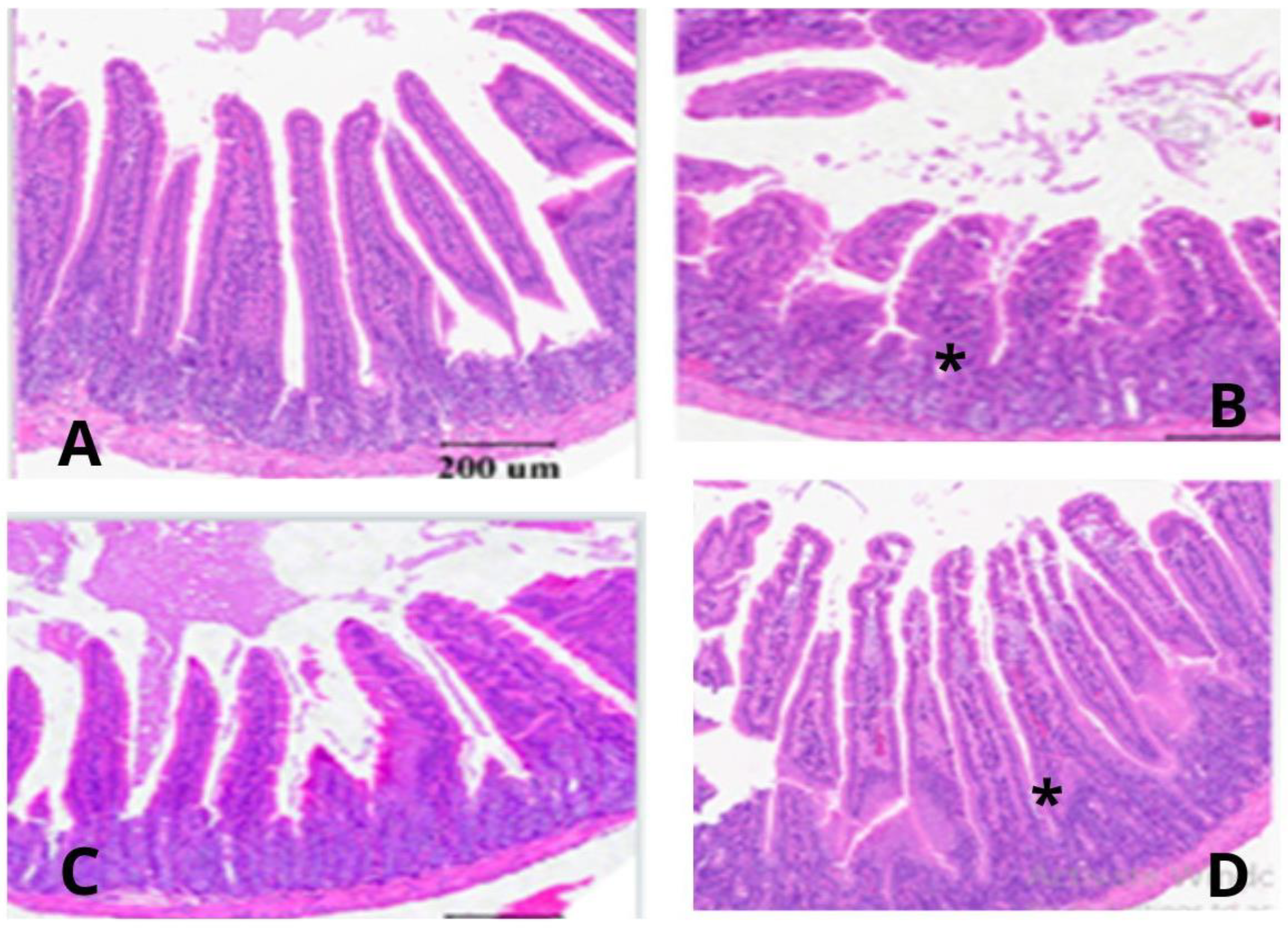 Animals 13 03421 g001