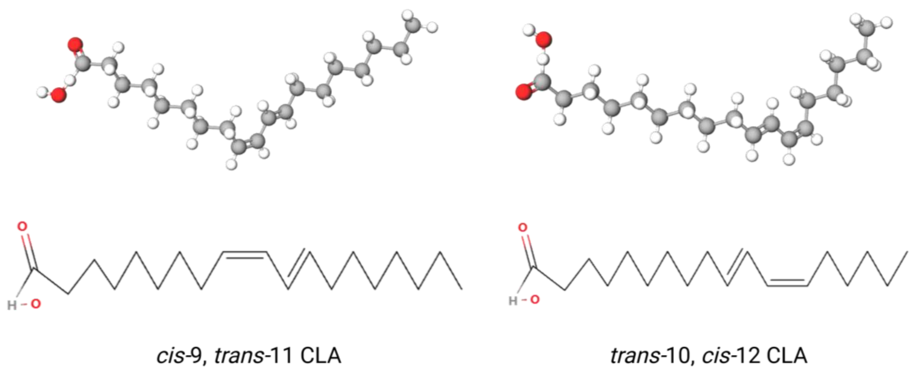 Roy  Progress of Conjugated Linoleic Acid on Milk Fat Metabolism