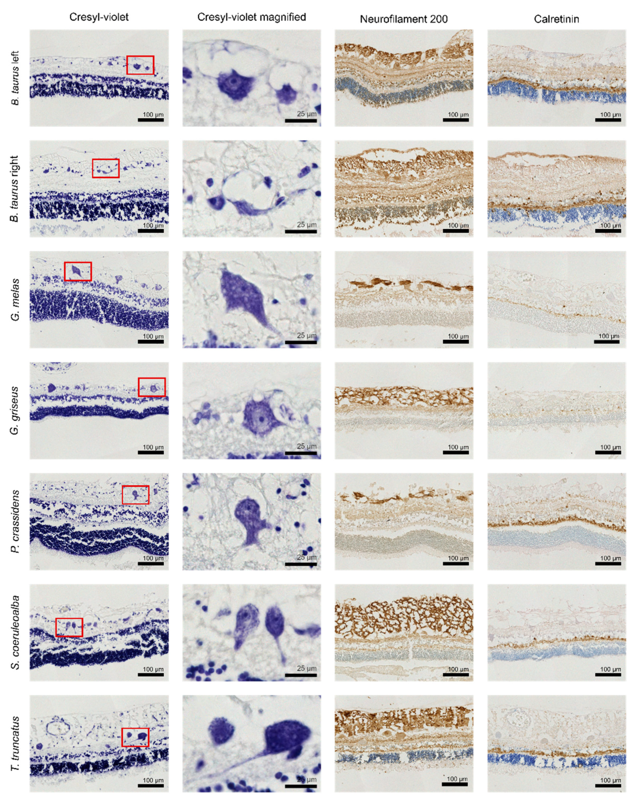 Animals 13 03430 g002