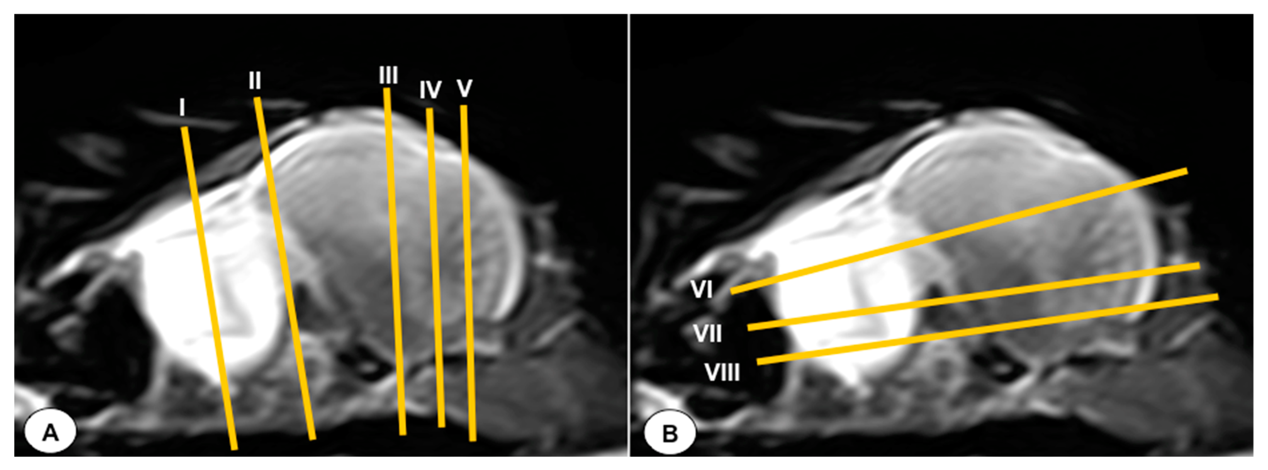 Animals 13 03434 g001
