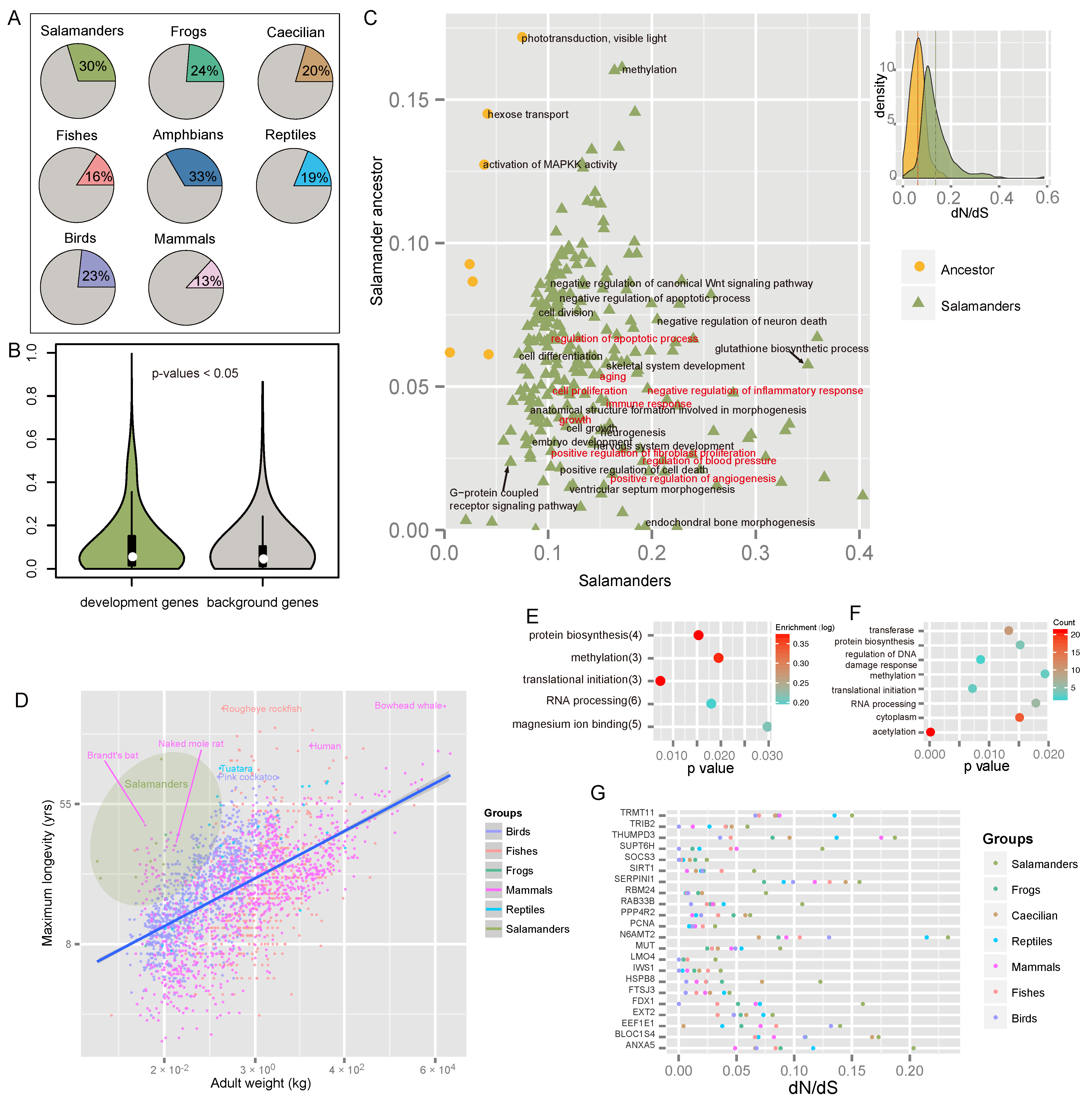 Animals 13 03449 g003 Animals 13 03449 g003